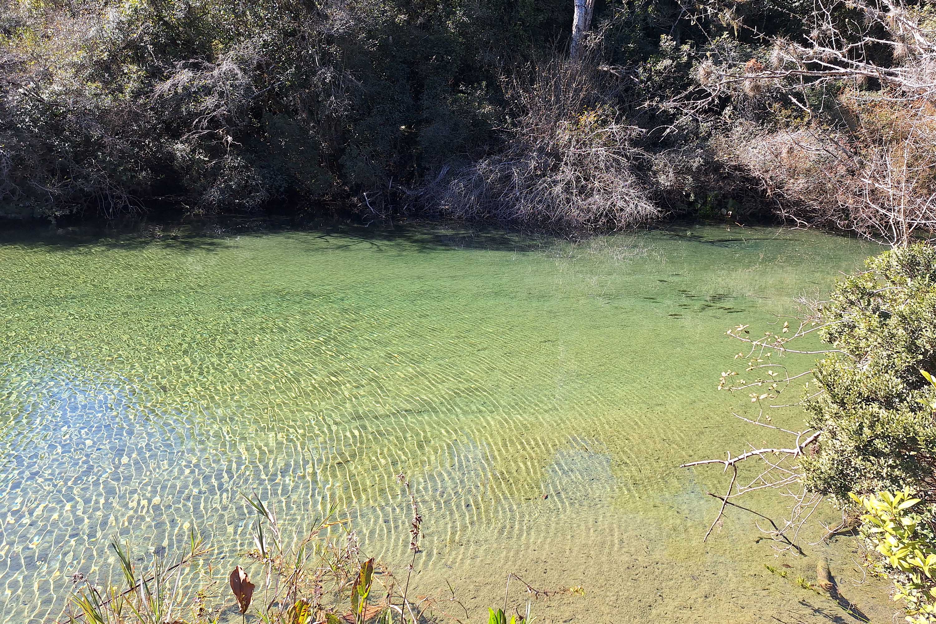 SETU MELHORES PARQUES BRASILEIROS RANKING