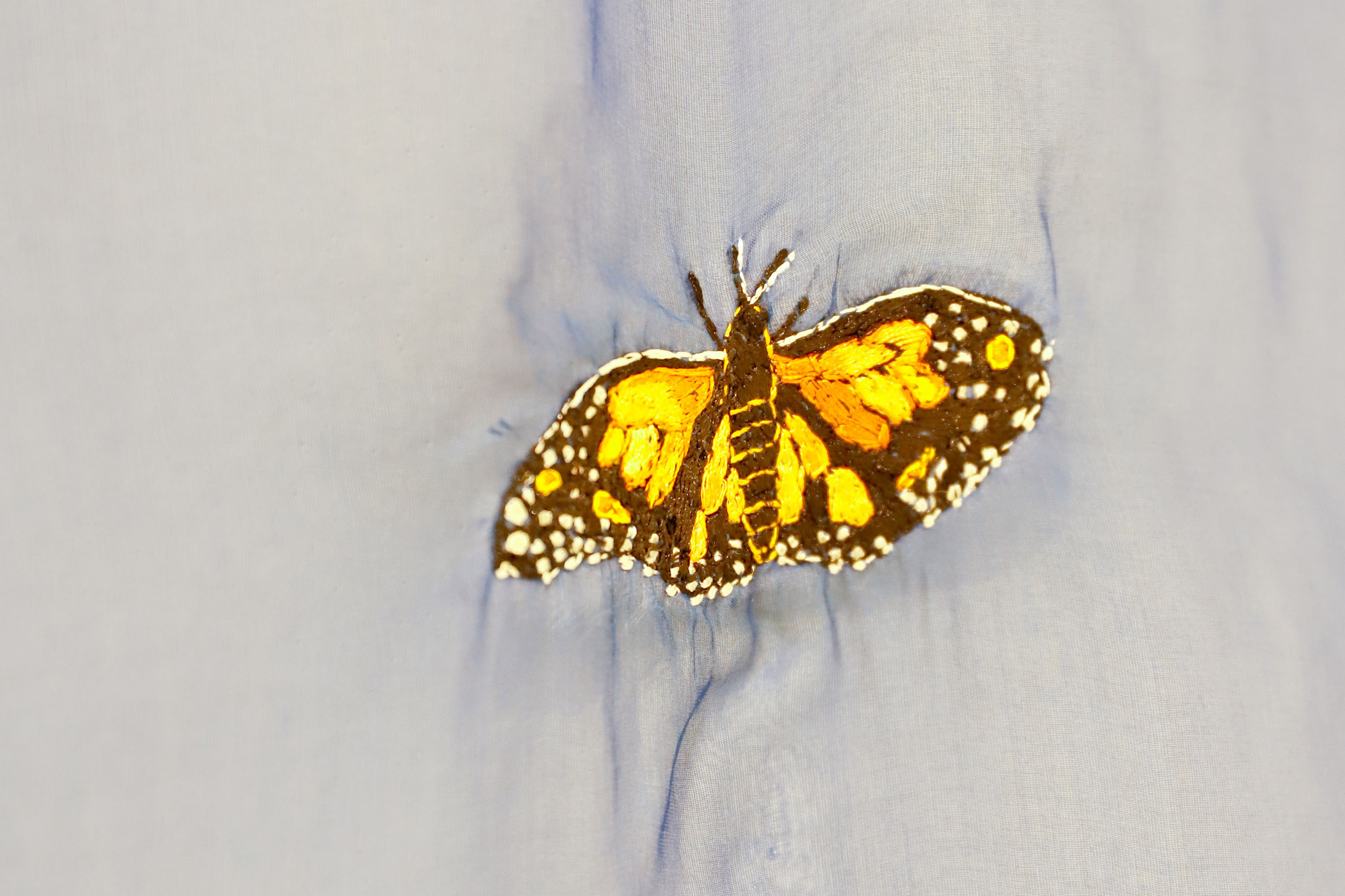 SEEC AGENDA CULTURAL