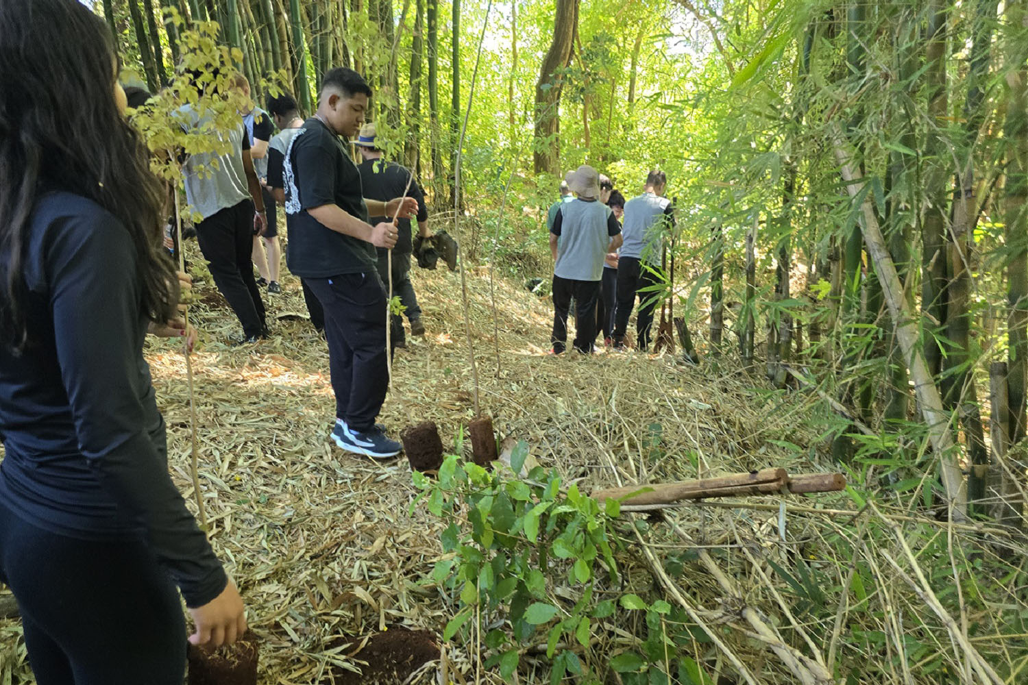 Jovens participam de ação de proteção da nascente do São Lourenço