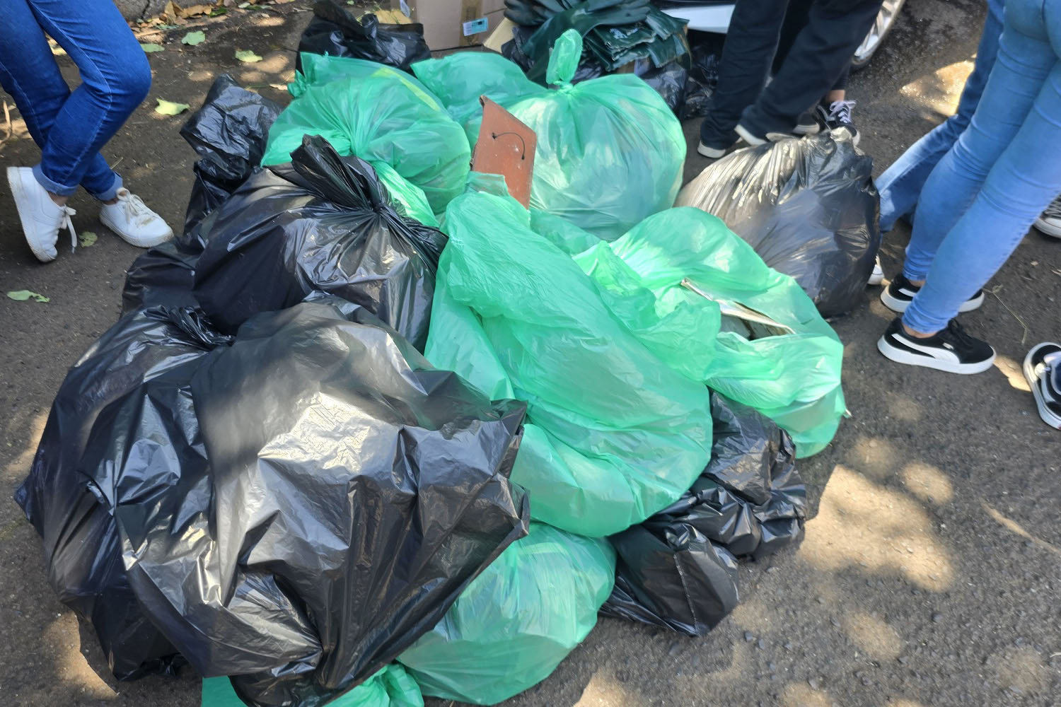 Jovens participam de ação de proteção da nascente do São Lourenço