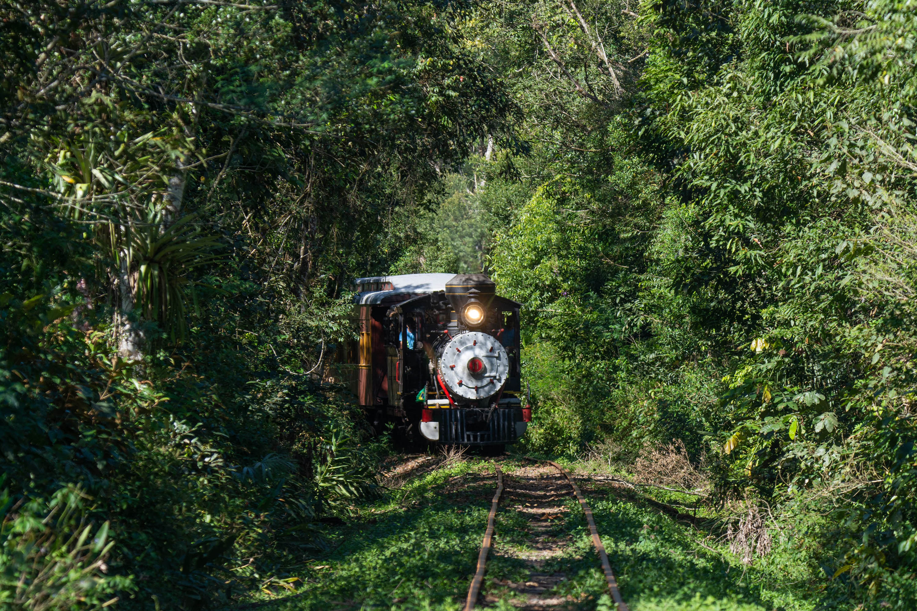 Gastronomia típica, música e cultura: Novo passeio de trem é opção turística para o verão paranaense