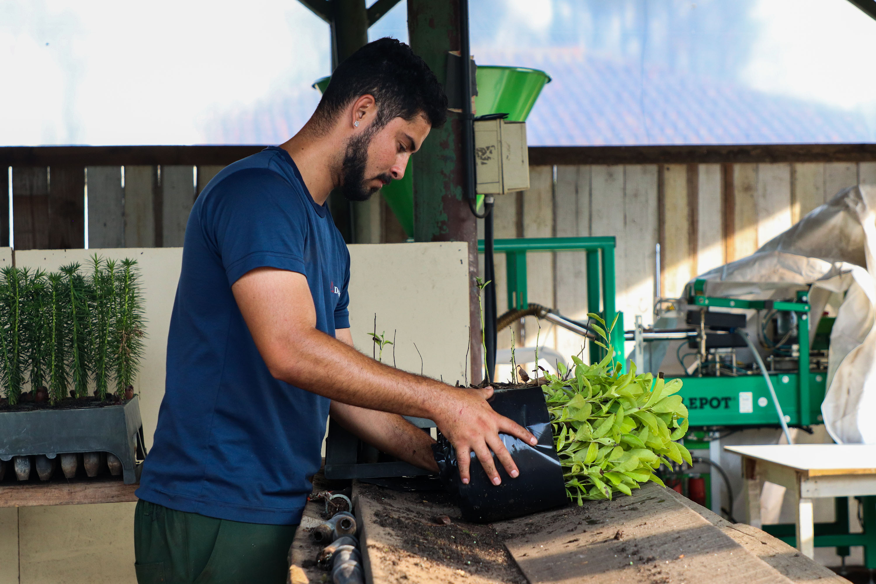 Paraná Mais Verde versão 2025 terá o início da reestruturação dos viveiros e laboratórios de sementes administrados pelo IAT