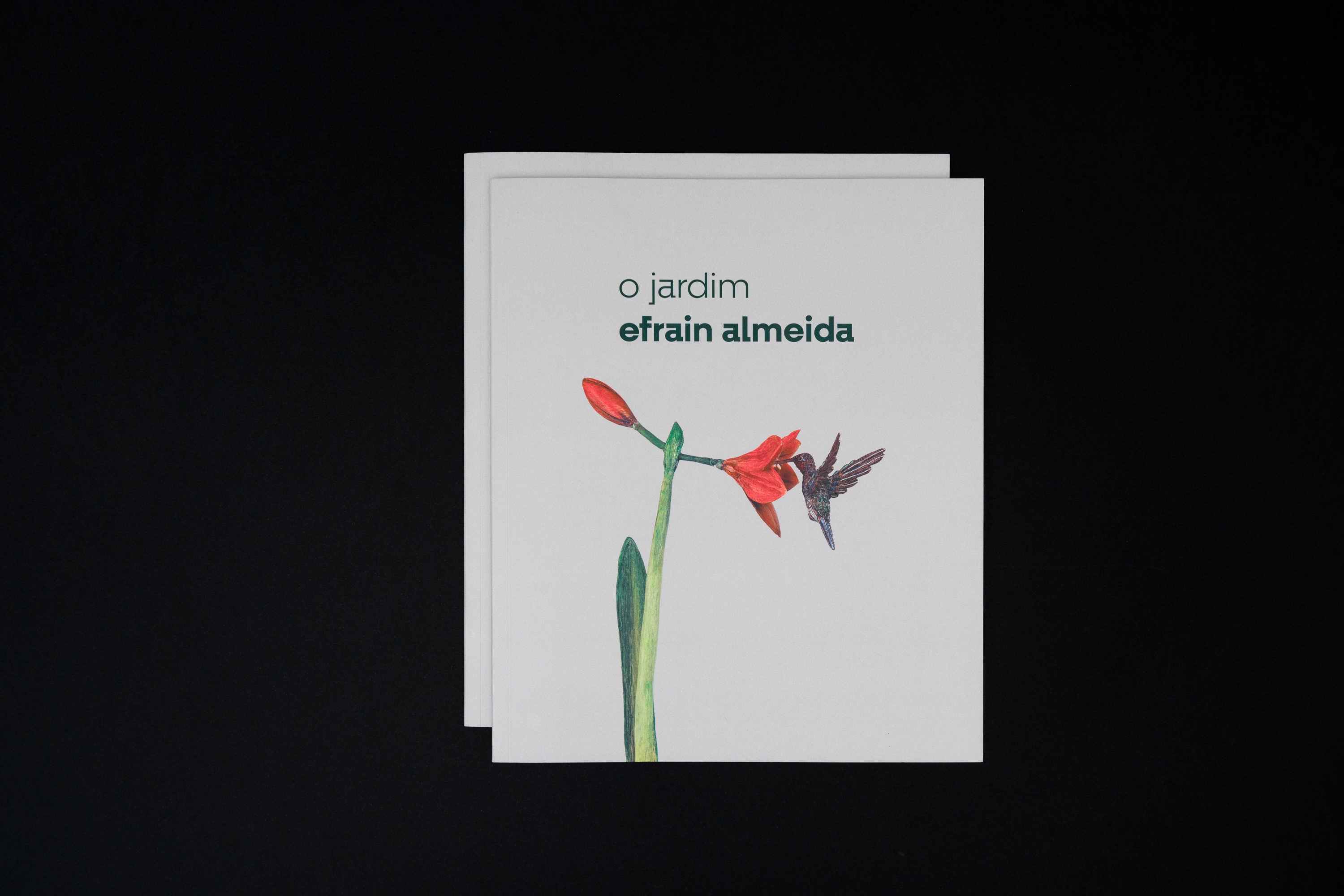 Catálogo da mostra de Efrain Almeida está disponível na MON Loja