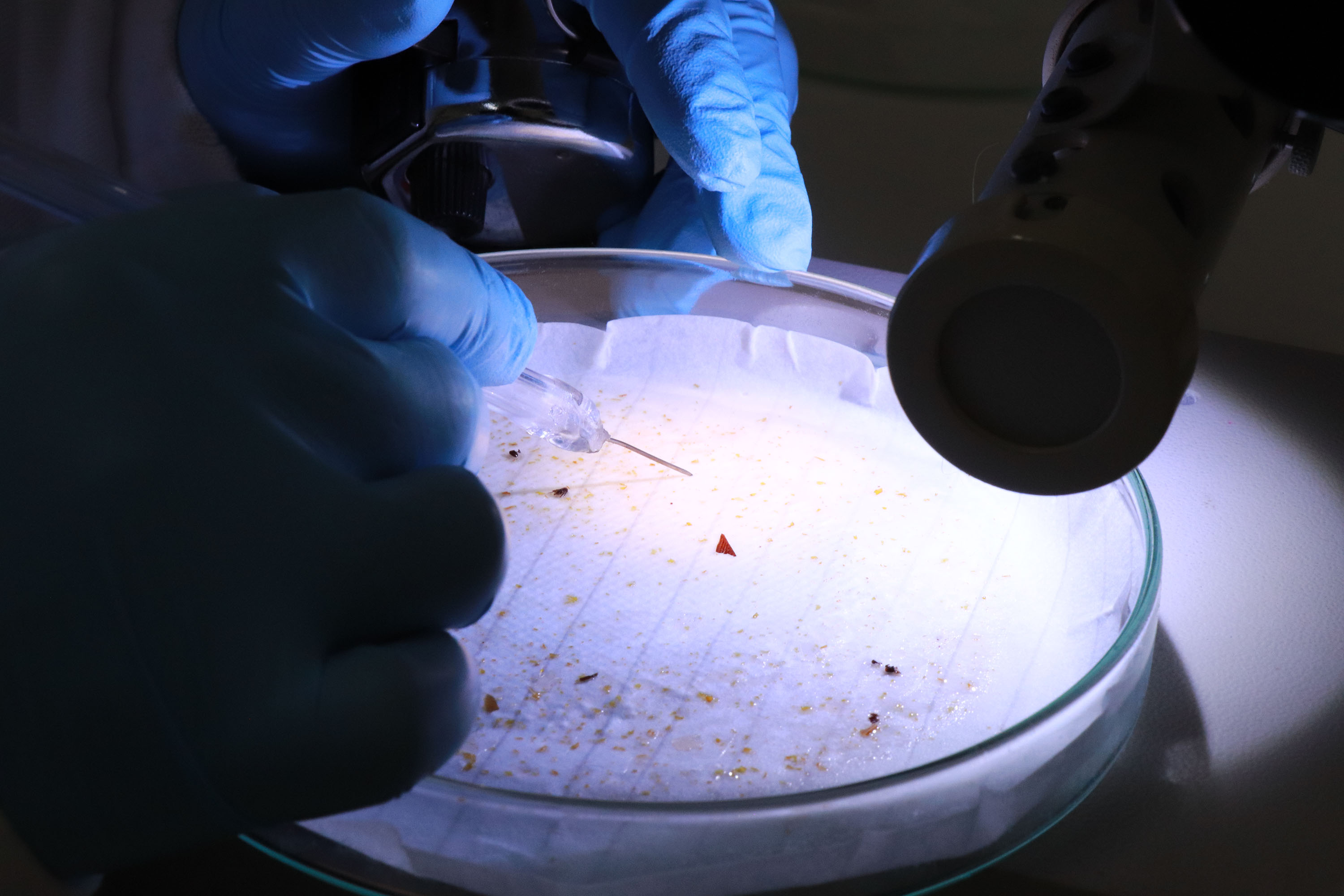 Tecpar contribui com segurança alimentar e nutricional das crianças paranaenses