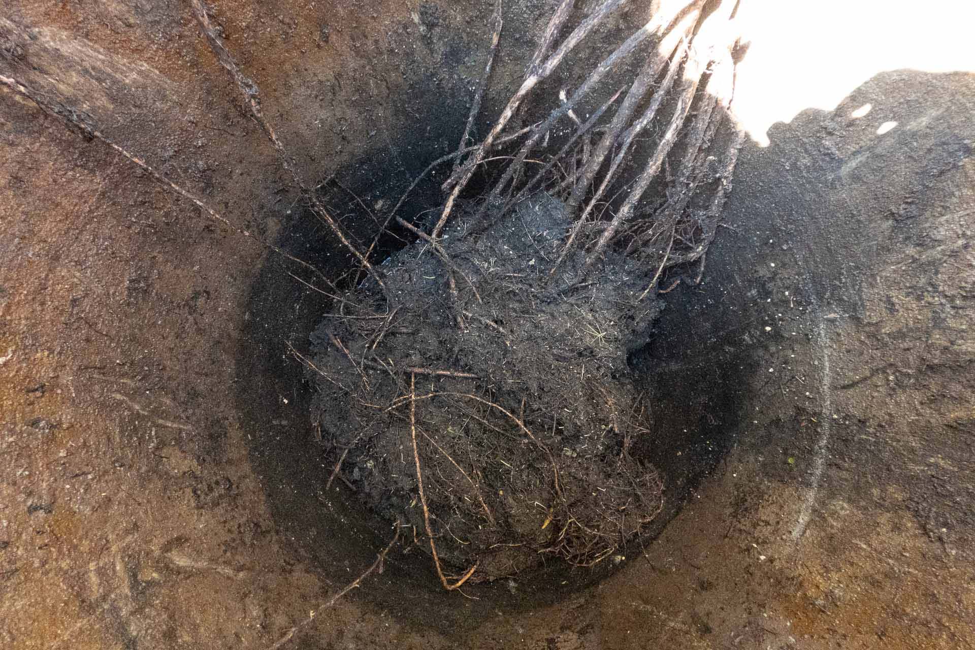 -Sanepar intensifica trabalho de inspeção e vistorias do sistema de esgoto do litoral