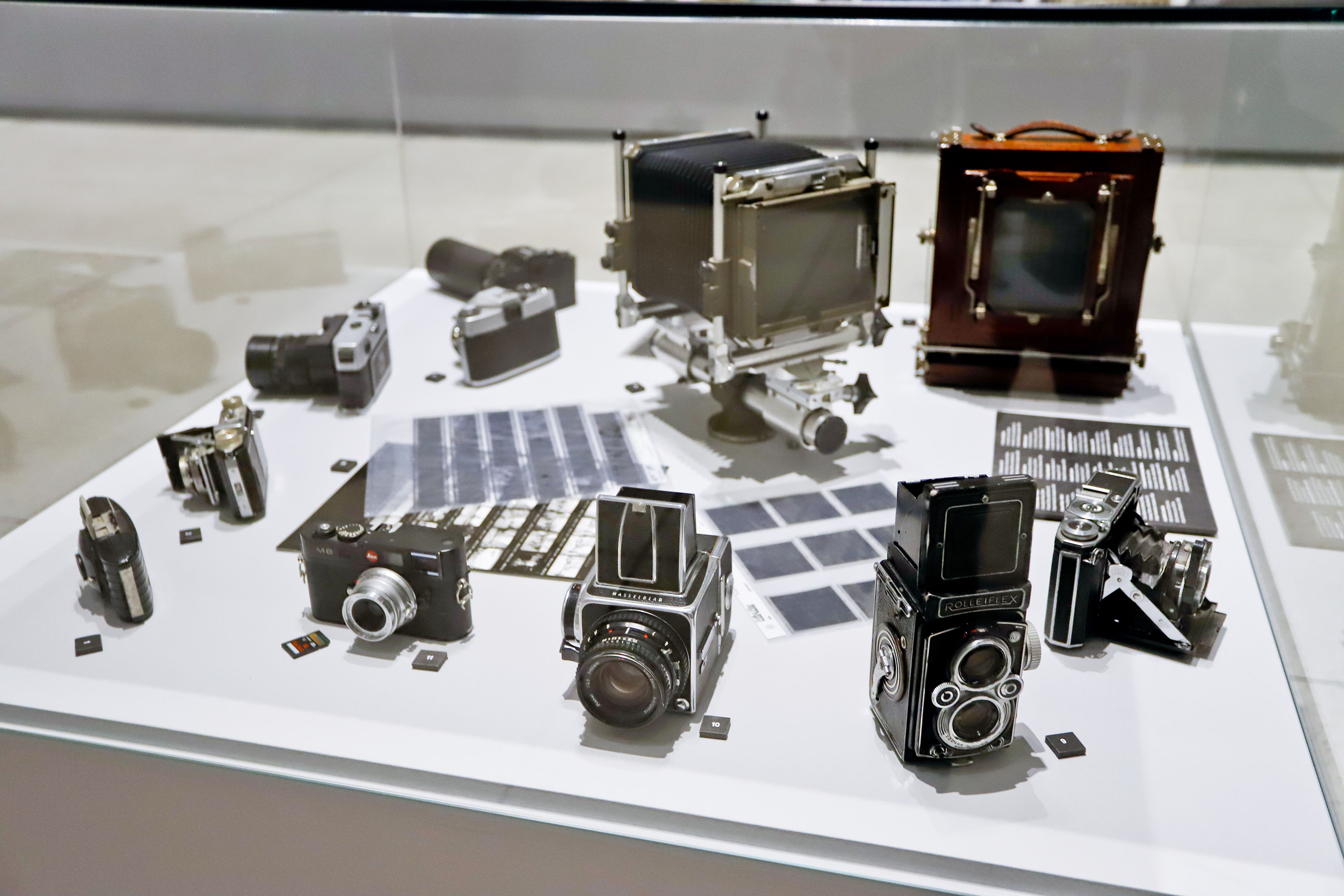 MON PUBLICO 60+ ATIVIDADE EDUCATIVA