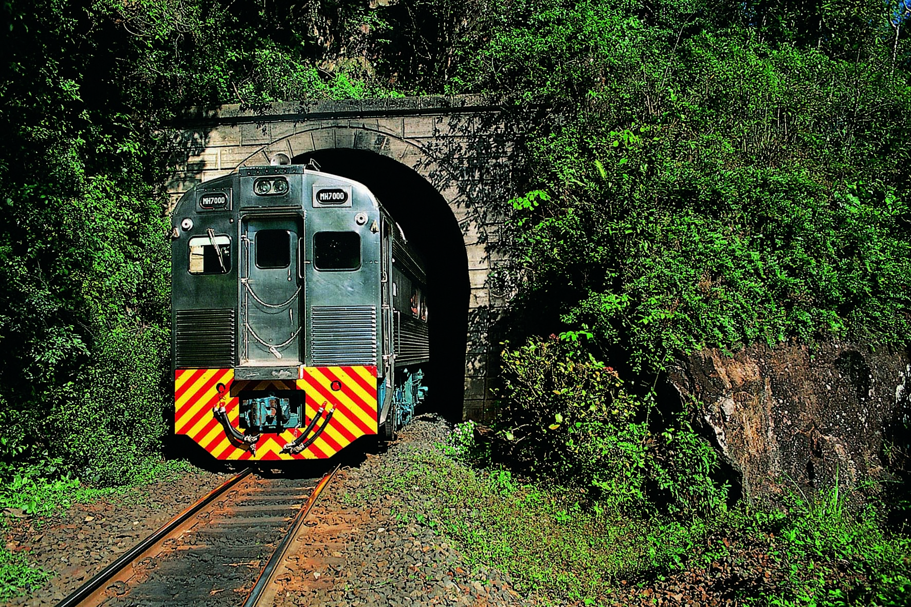 Único brasileiro na lista, passeio de trem do Paraná é eleito um dos melhores do mundo por editora britânica
