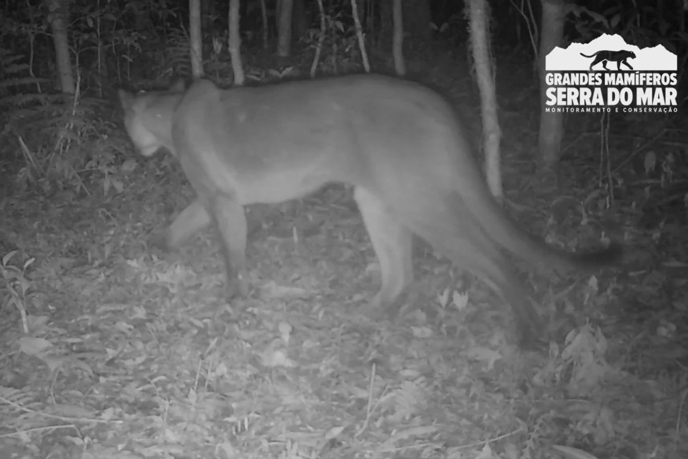 Copel conquista certificado de empresa sustentável na B3