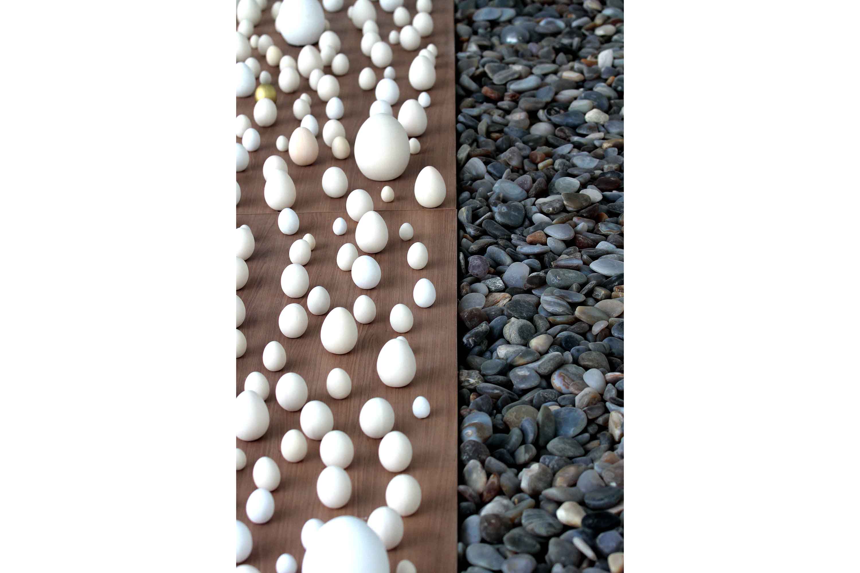 MAC Paraná apresenta nova  exposição de Guita Soifer