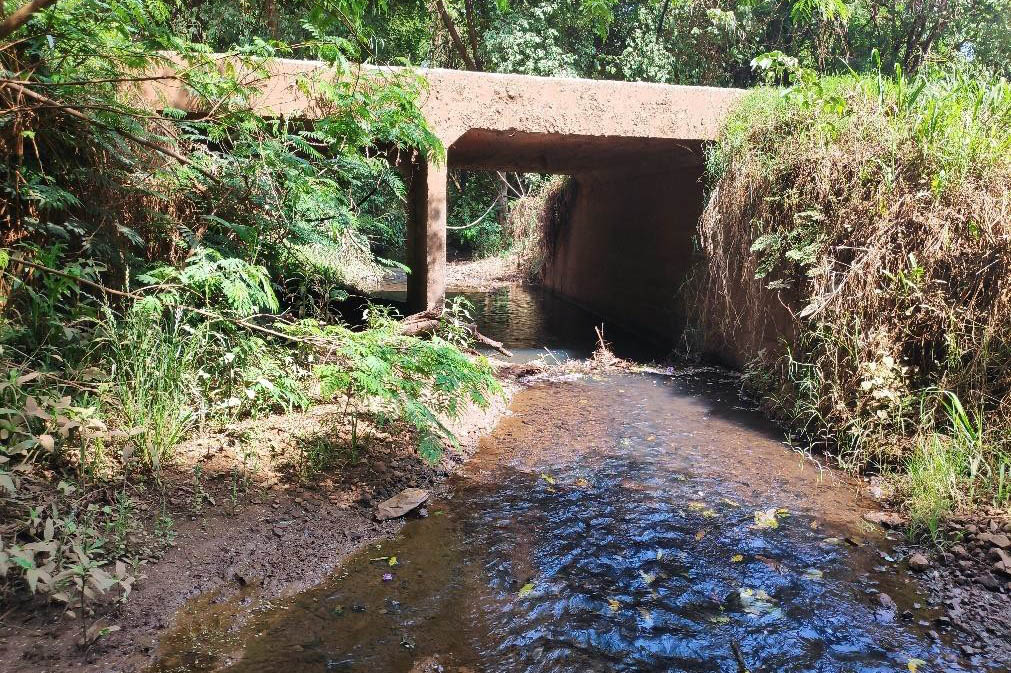 Pavimentação entre Mato Rico e Roncador tem edital homologado
