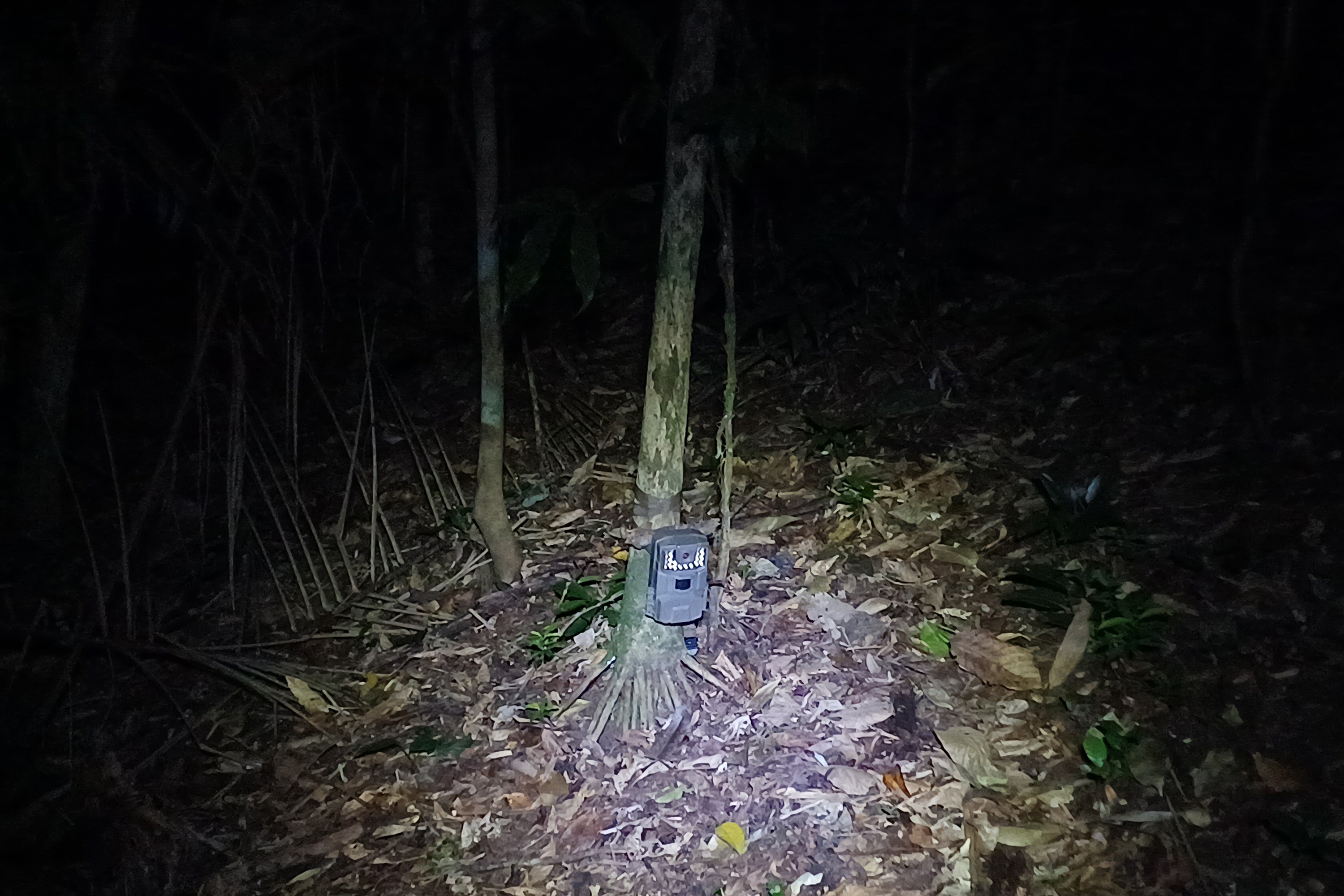 Programa ambiental Ponte de Guaratuba