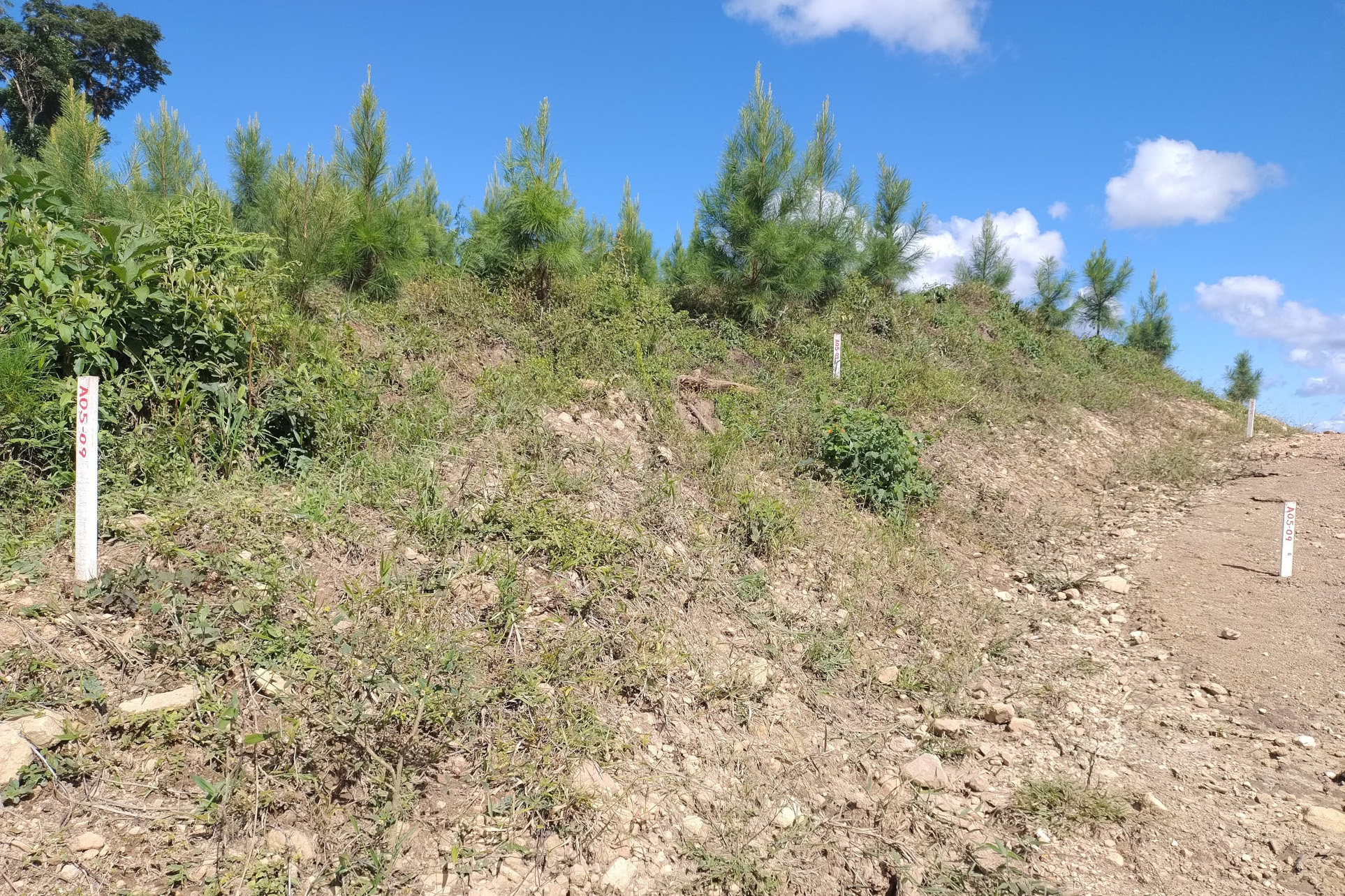 DER PAVIMENTAÇÃO DOUTOR ULYSSES