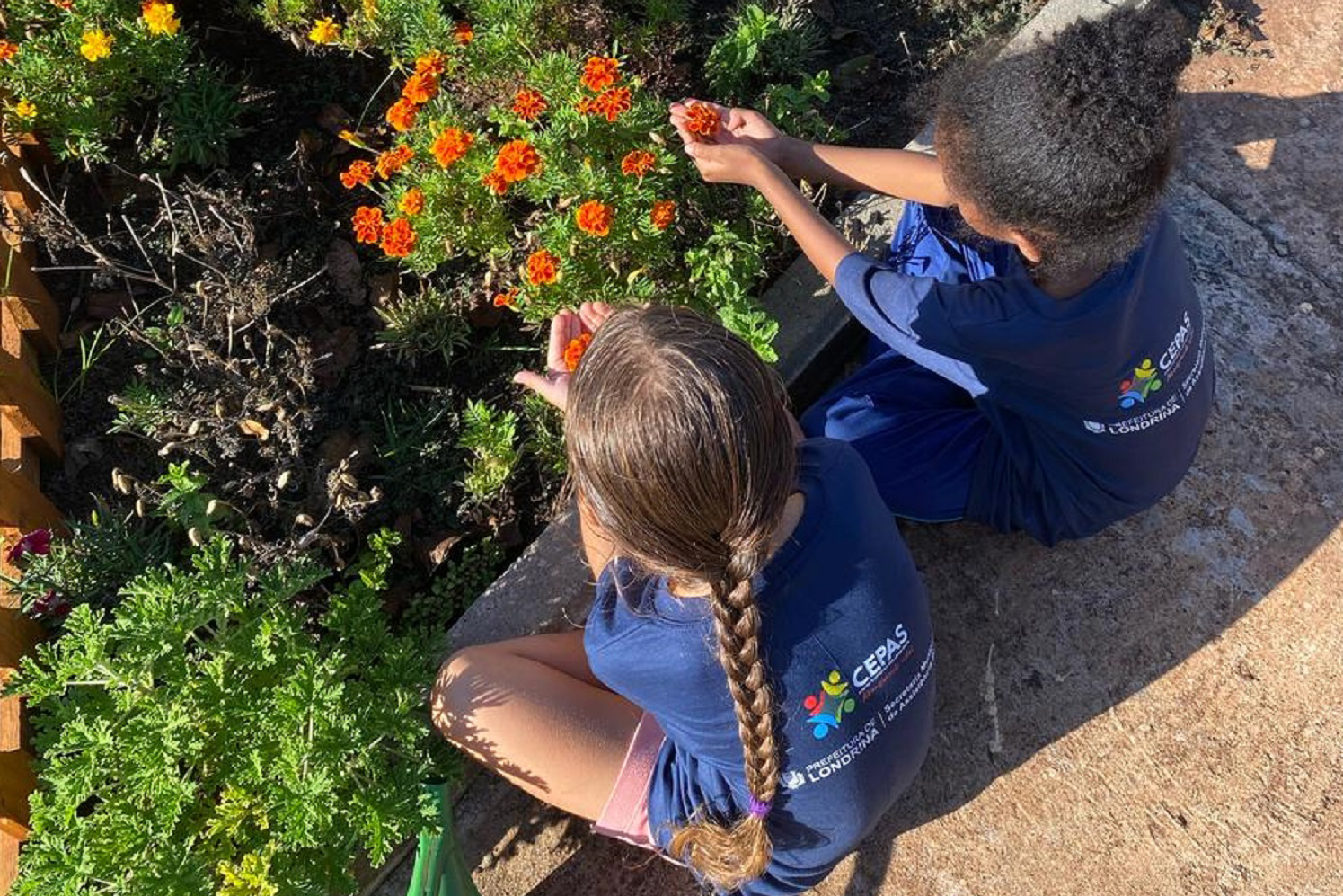 SANEPAR AÇÕES SOCIOAMBIENTAIS LONDRINA