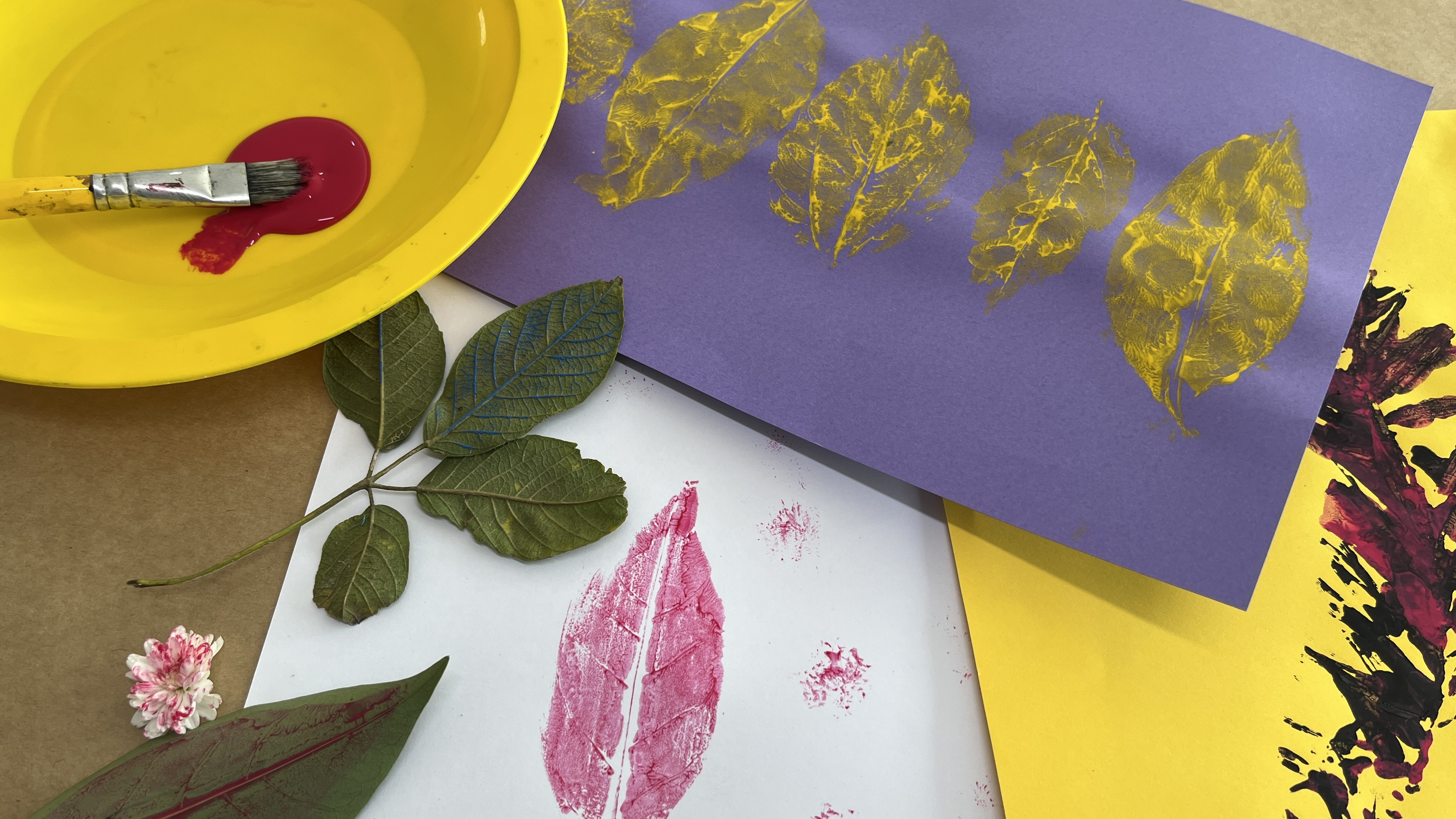 MON divulga atividades educativas gratuitas de maio