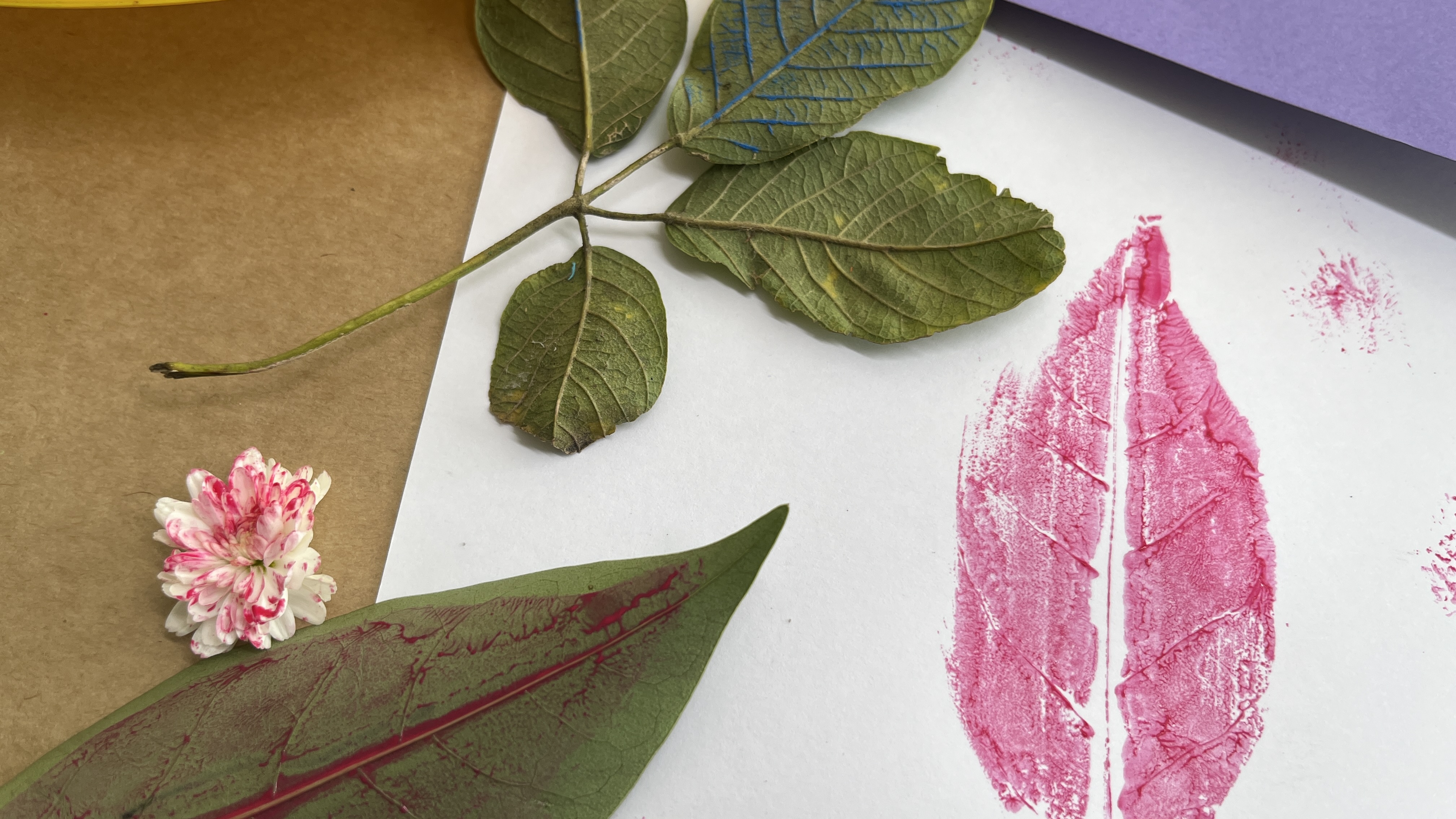 MON divulga atividades educativas gratuitas de maio