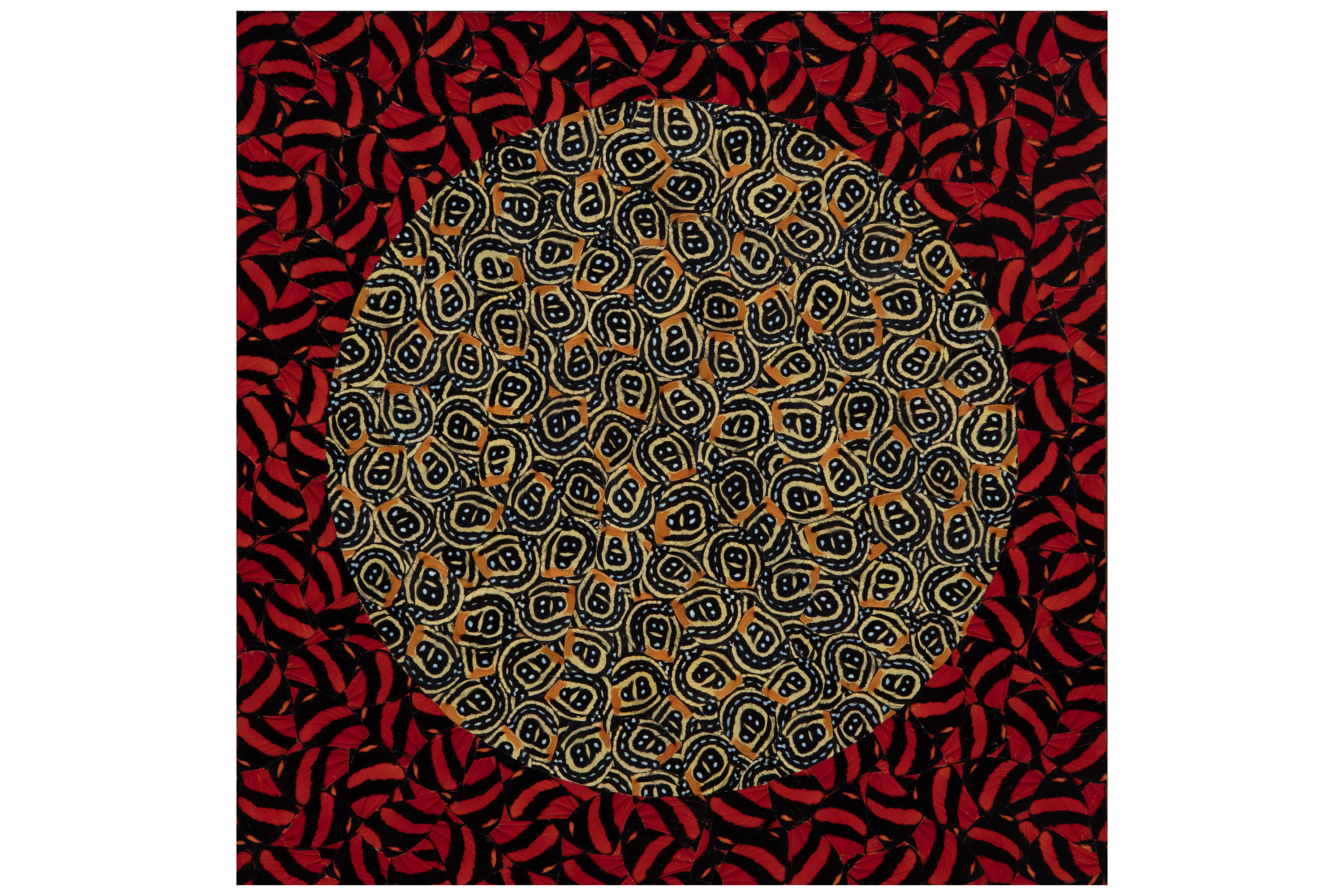 MON realiza nova exposição internacional