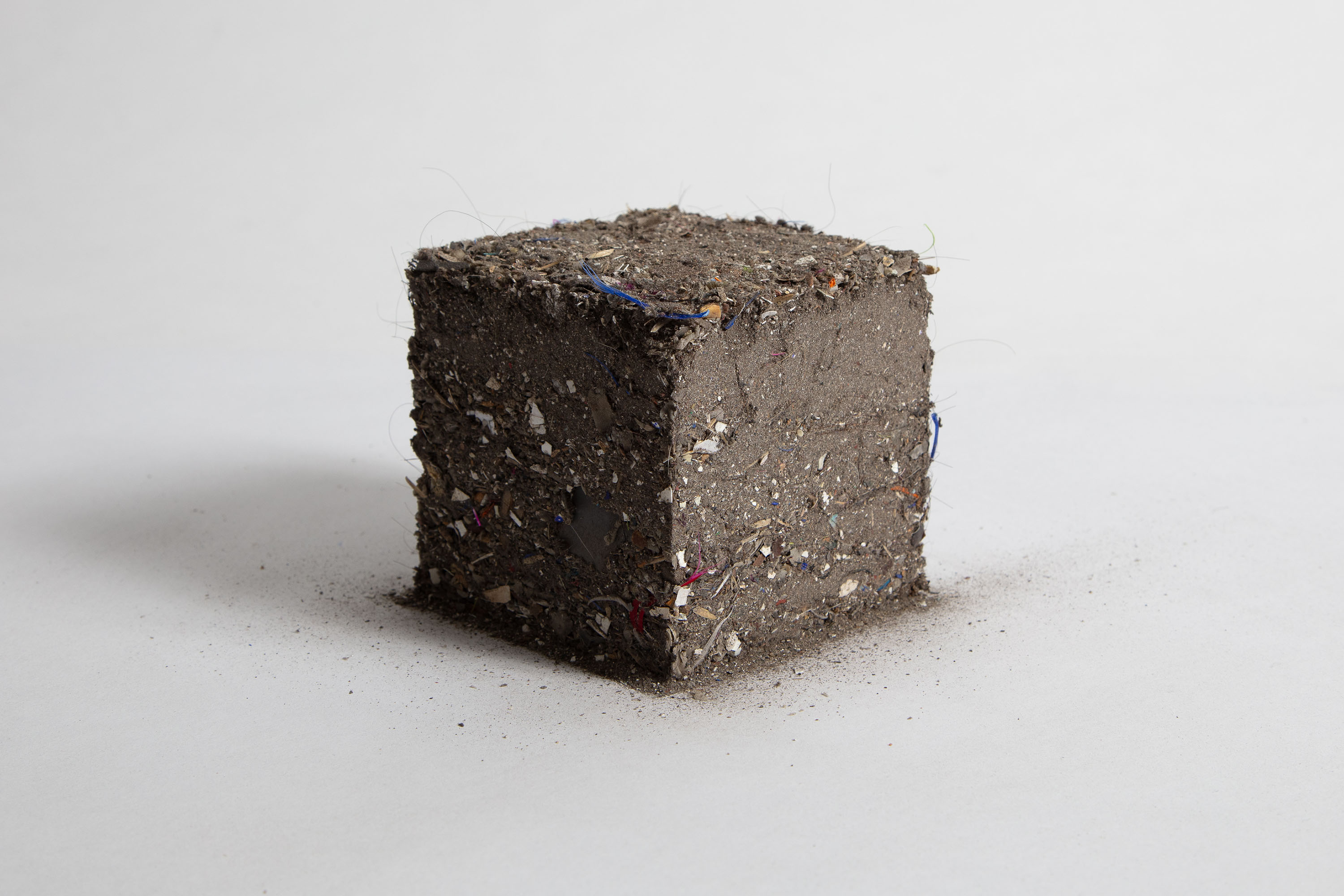 MON realiza nova exposição internacional