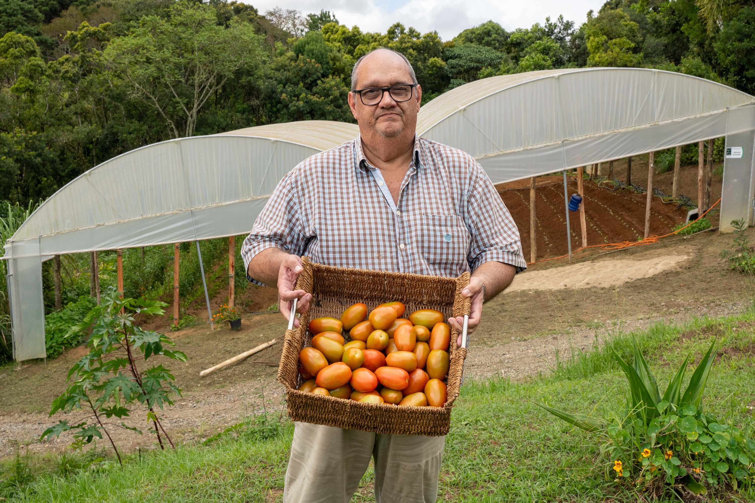 SEGURANÇA ALIMENTAR