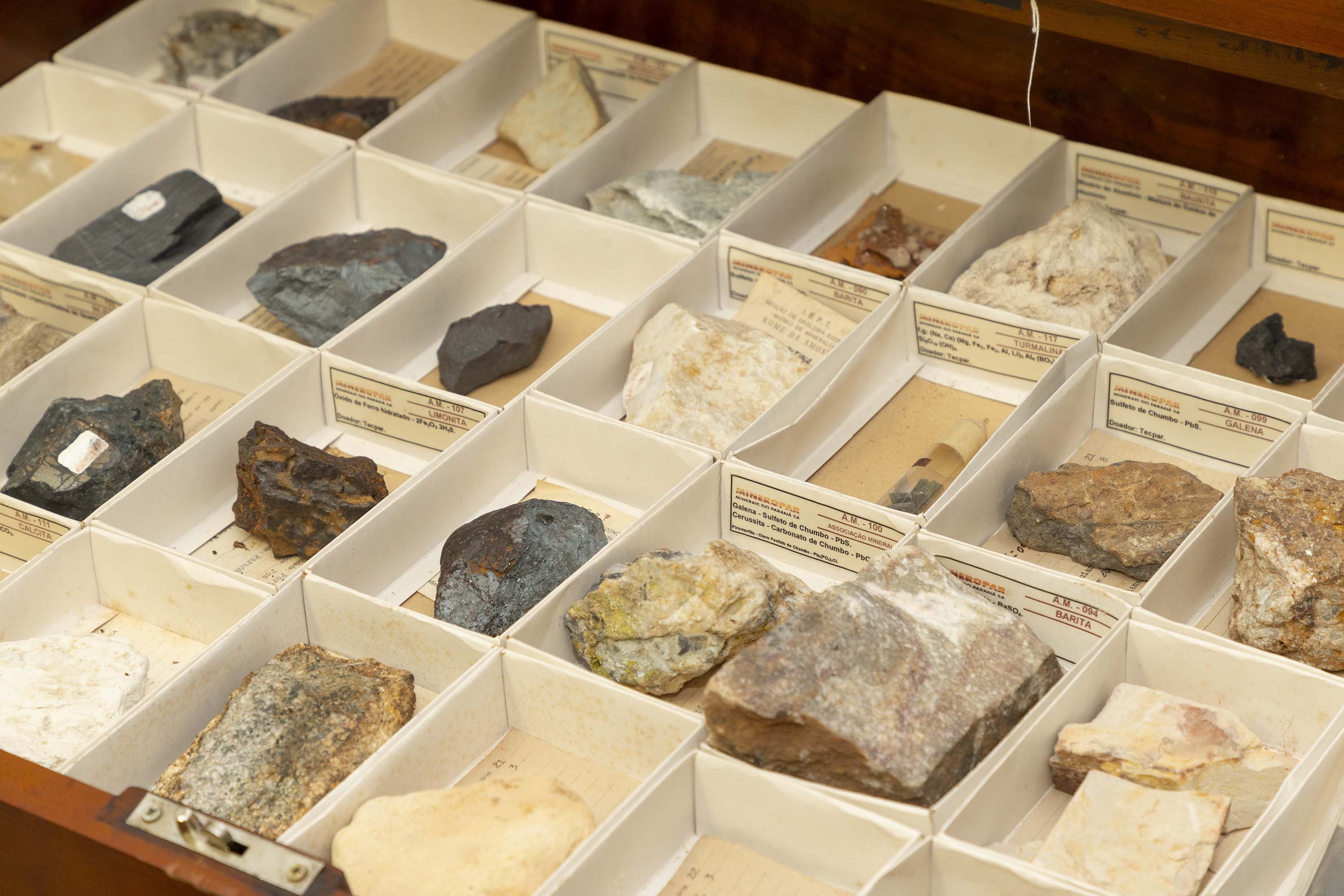 Hedeson Alves/TECPAR