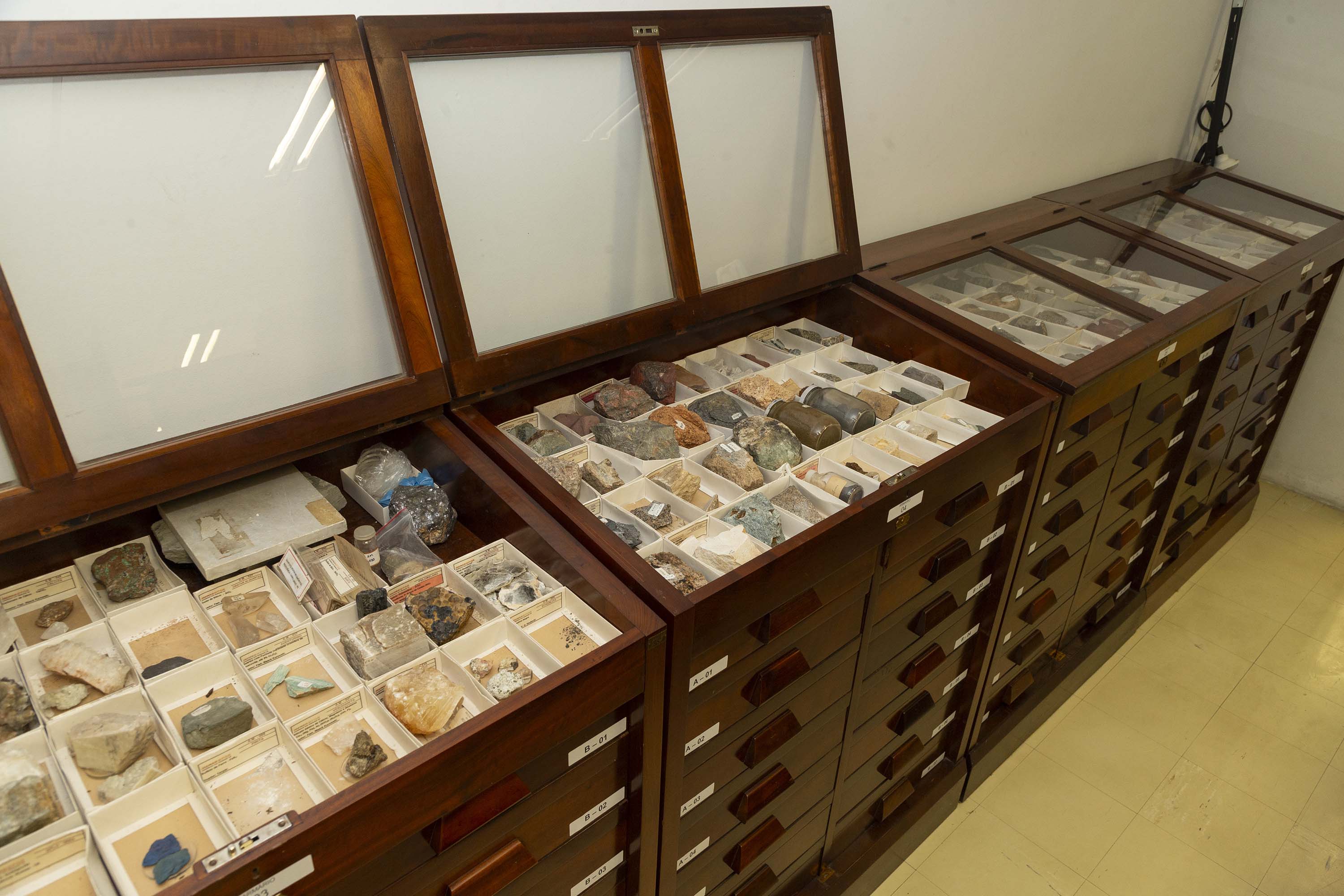 Hedeson Alves/TECPAR