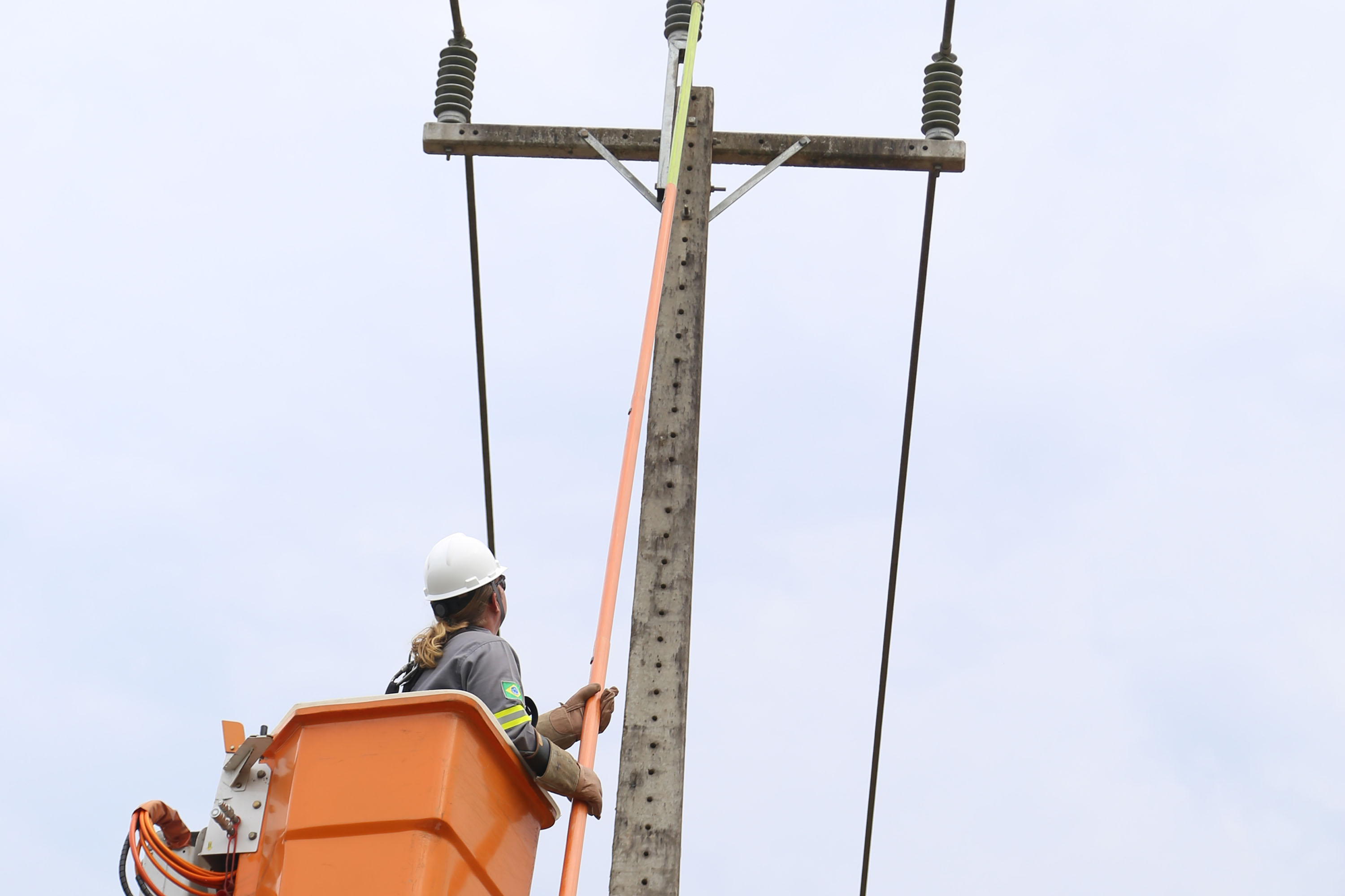 Paraná Trifásico leva rede elétrica mais potente e estável à agroindústria cada vez mais moderna e inovadora