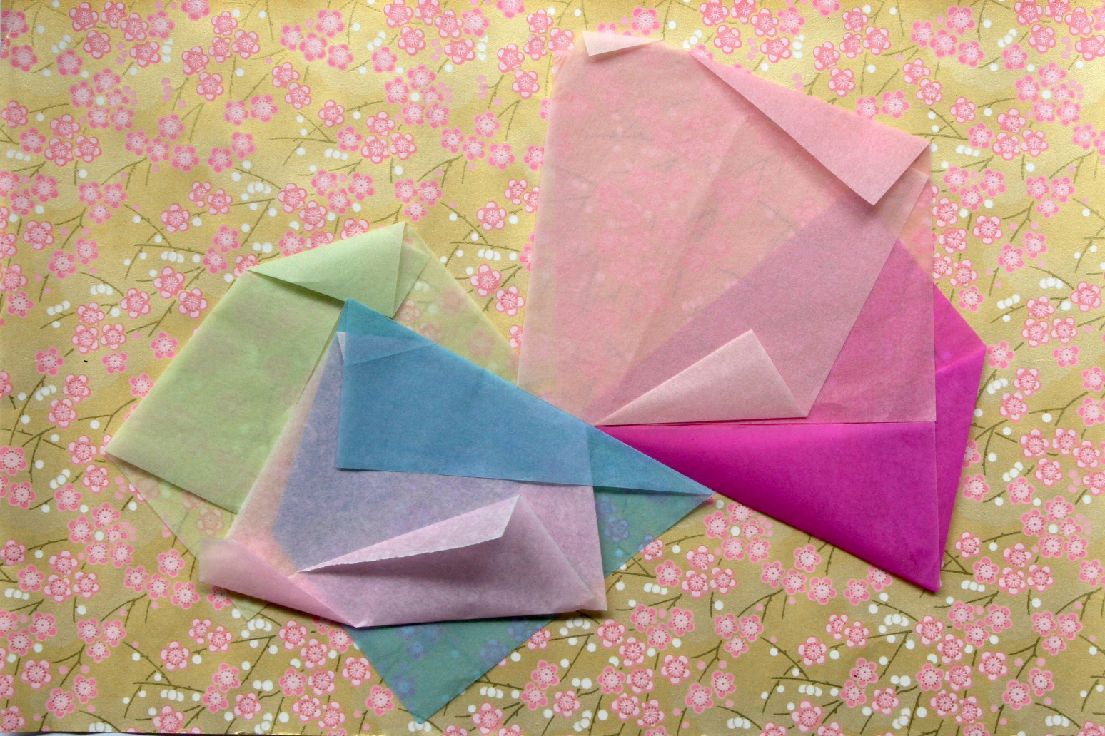 MAC Paraná - Programação educativo