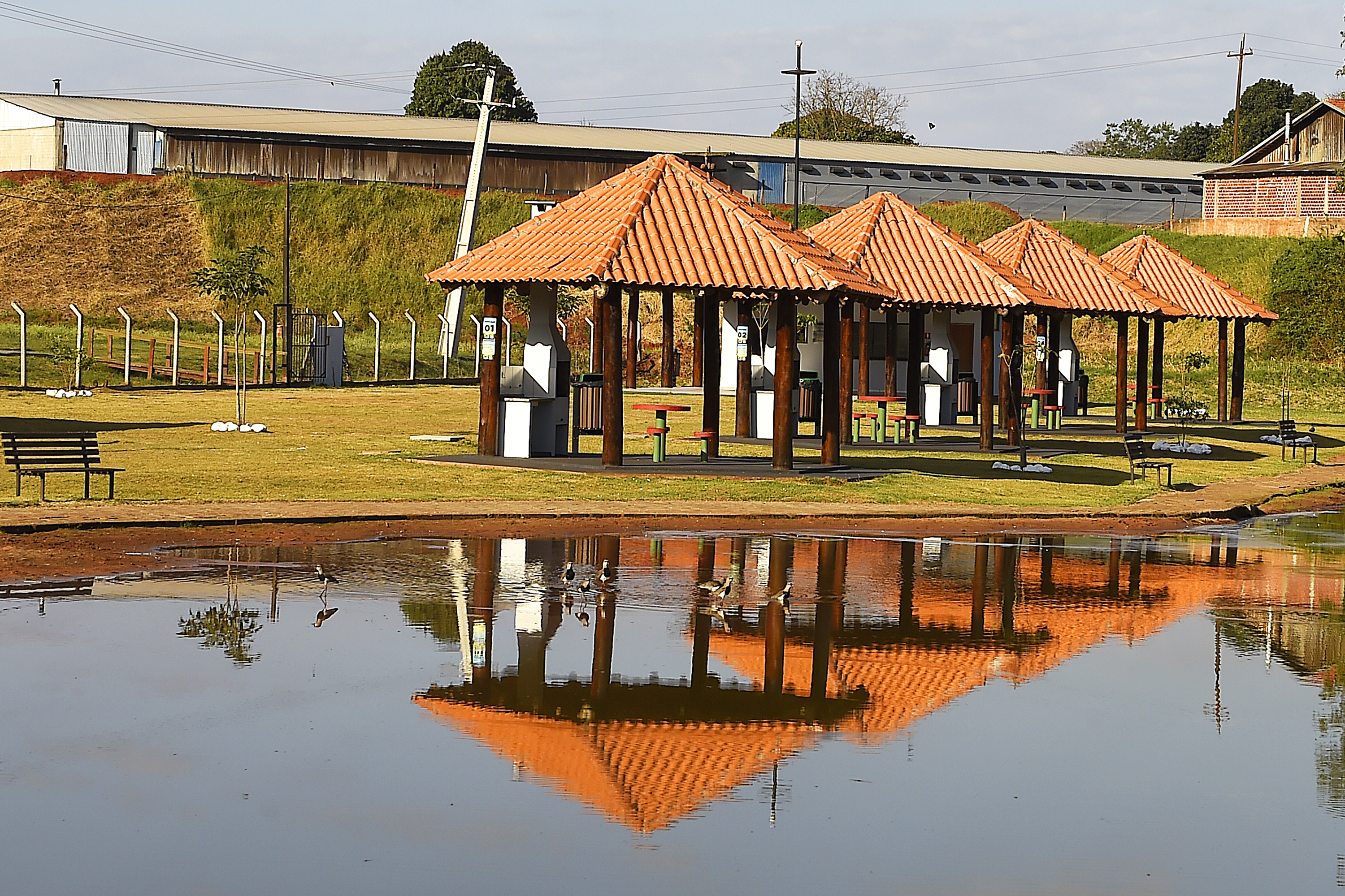 Em quase seis anos, o Paraná ganhou 42 parques urbanos e mais de 1,4 milhão de metros quadrados de área regenerada