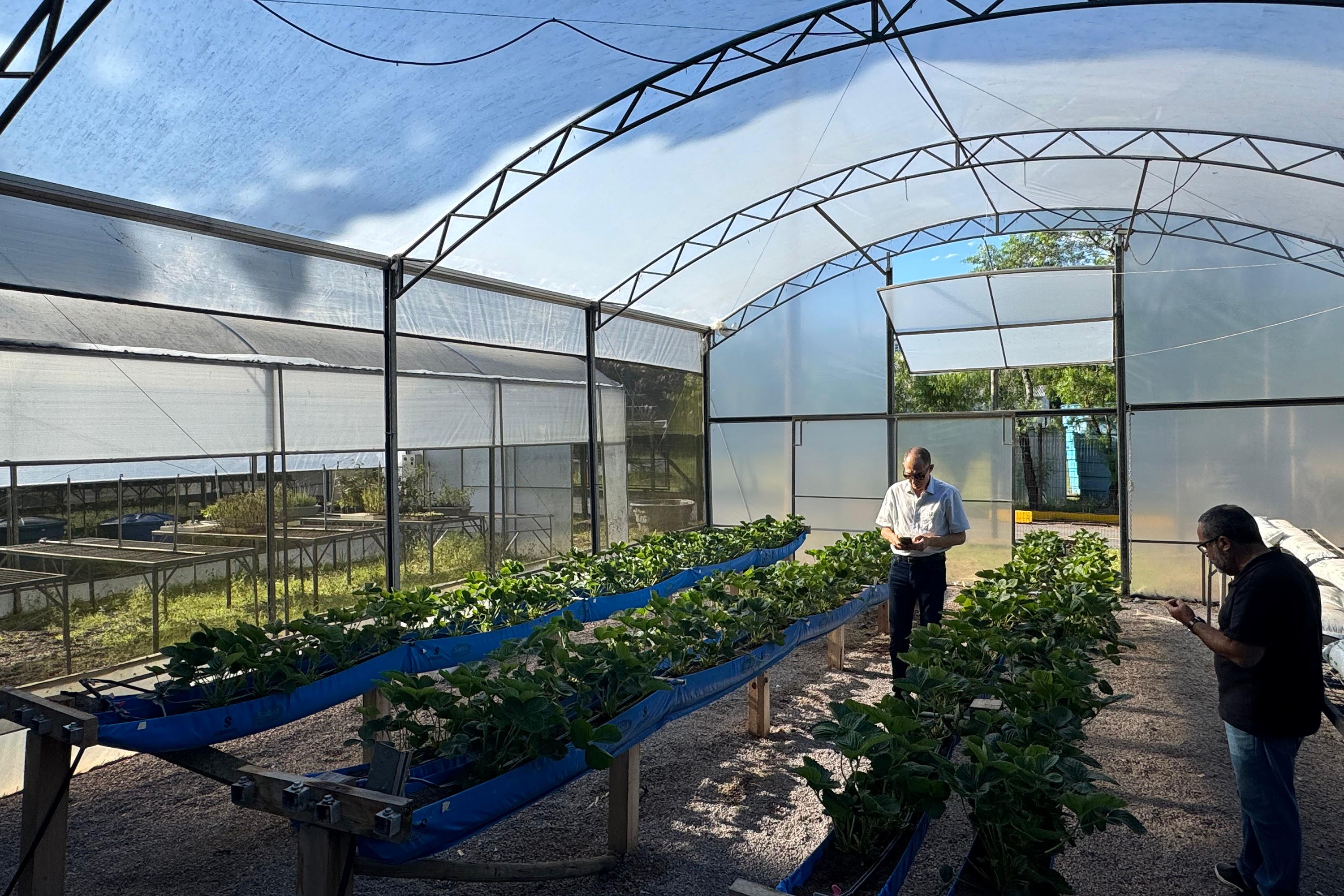 Paraná lidera inovação com tecnologia europeia adaptada para agricultura tropical