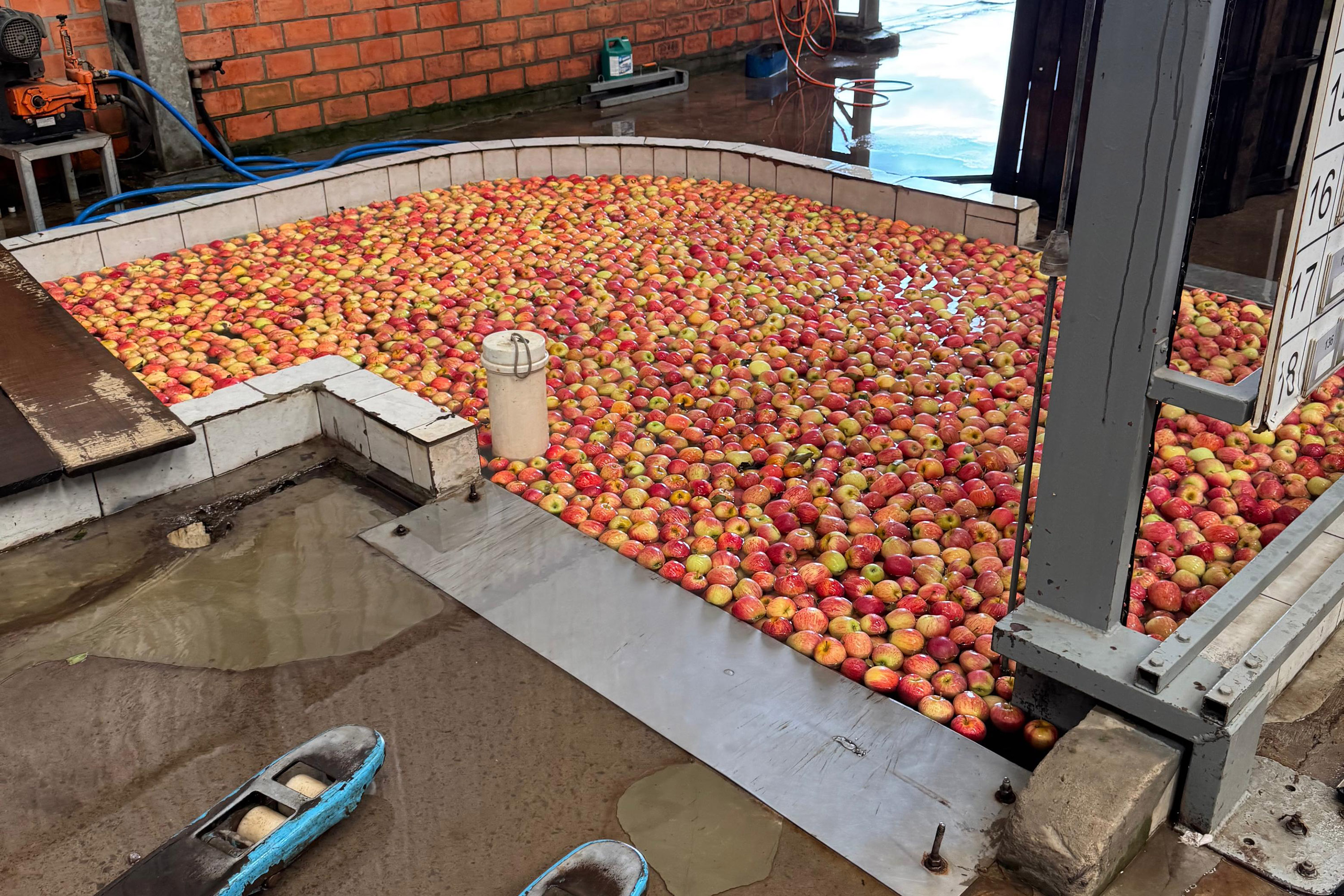 Paraná lidera inovação com tecnologia europeia adaptada para agricultura tropical