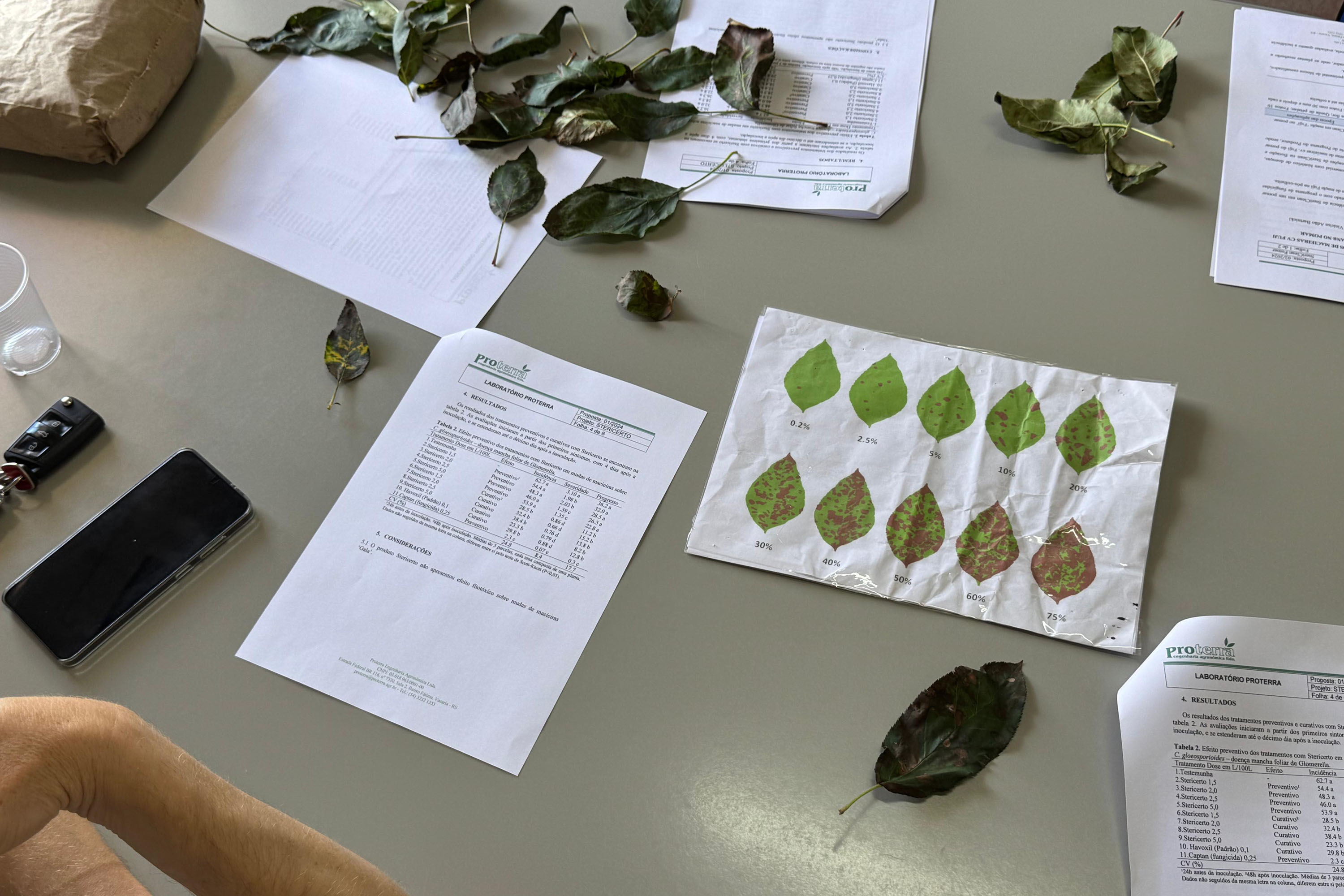 Paraná lidera inovação com tecnologia europeia adaptada para agricultura tropical