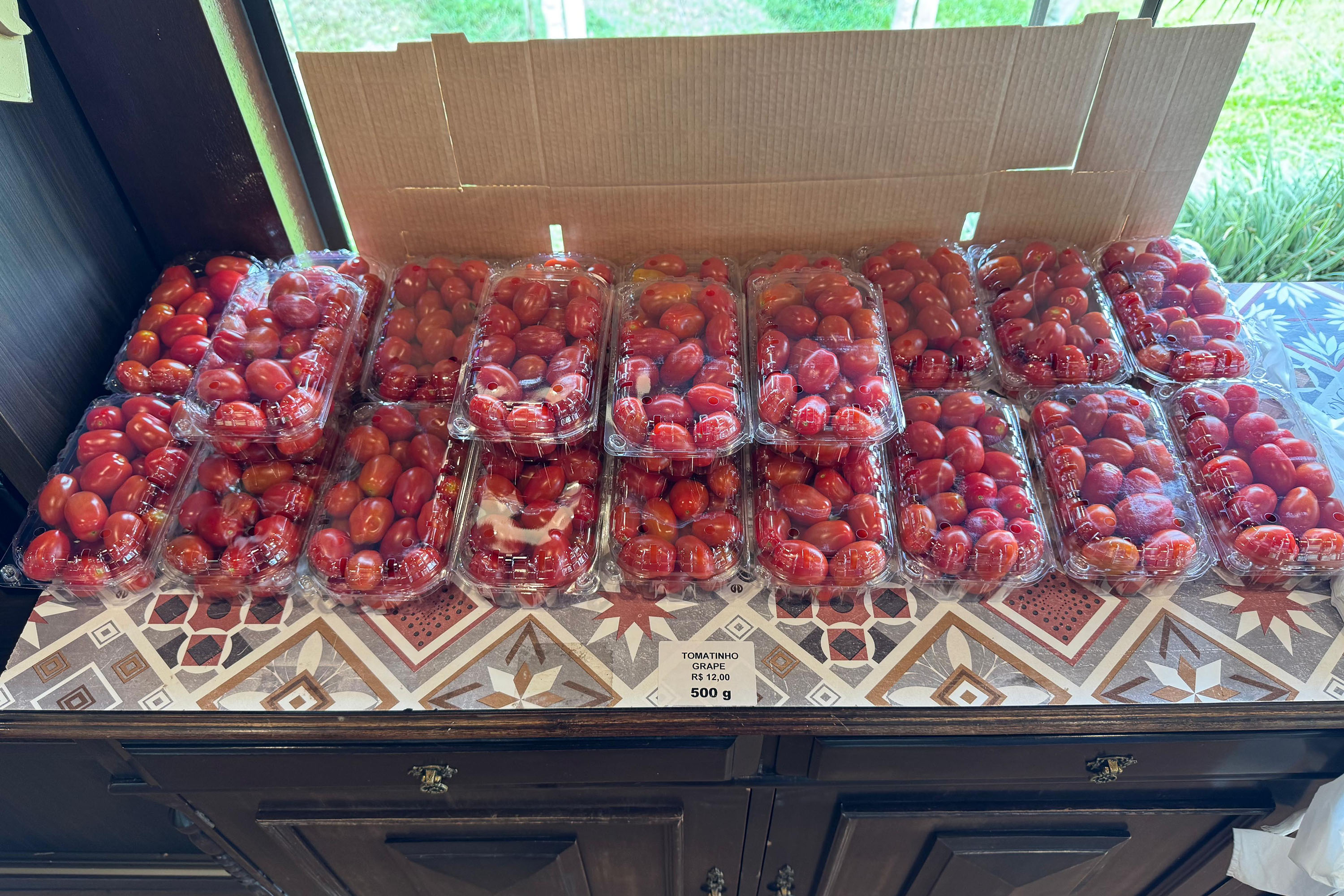 Paraná lidera inovação com tecnologia europeia adaptada para agricultura tropical