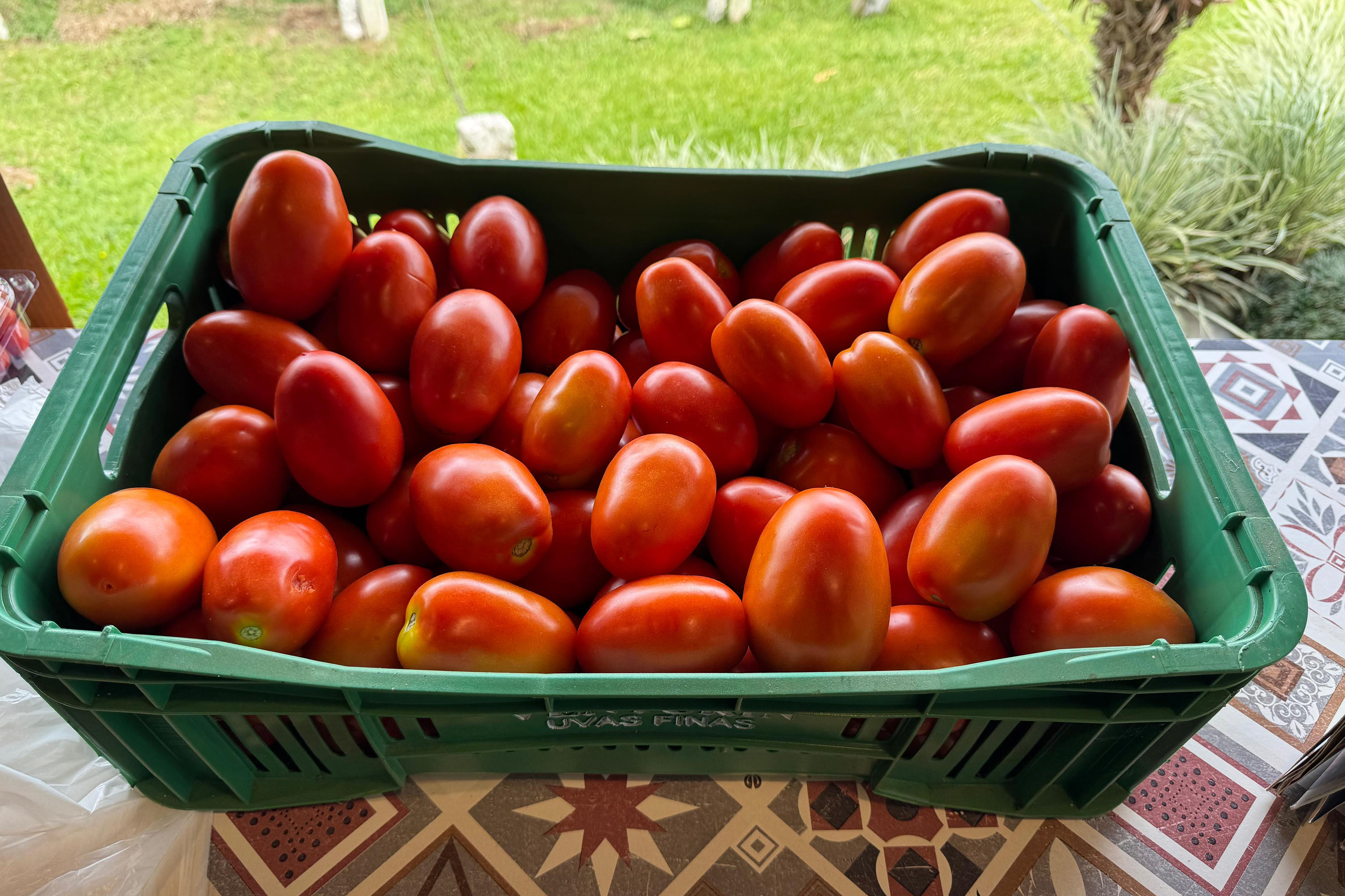 Paraná lidera inovação com tecnologia europeia adaptada para agricultura tropical