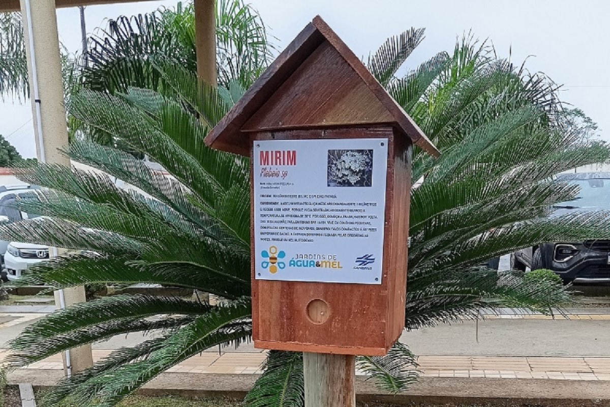 Sanepar inicia 20 atividades em Mangueirinha para falar de saneamento e meio ambiente