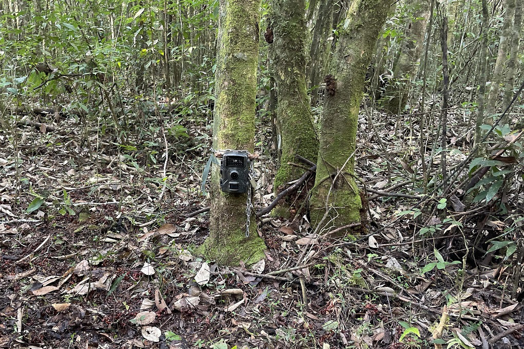 Sanepar - Com estudos e resgates de fauna e flora, Sanepar preserva espécies enquanto promove o saneamento no Paraná
