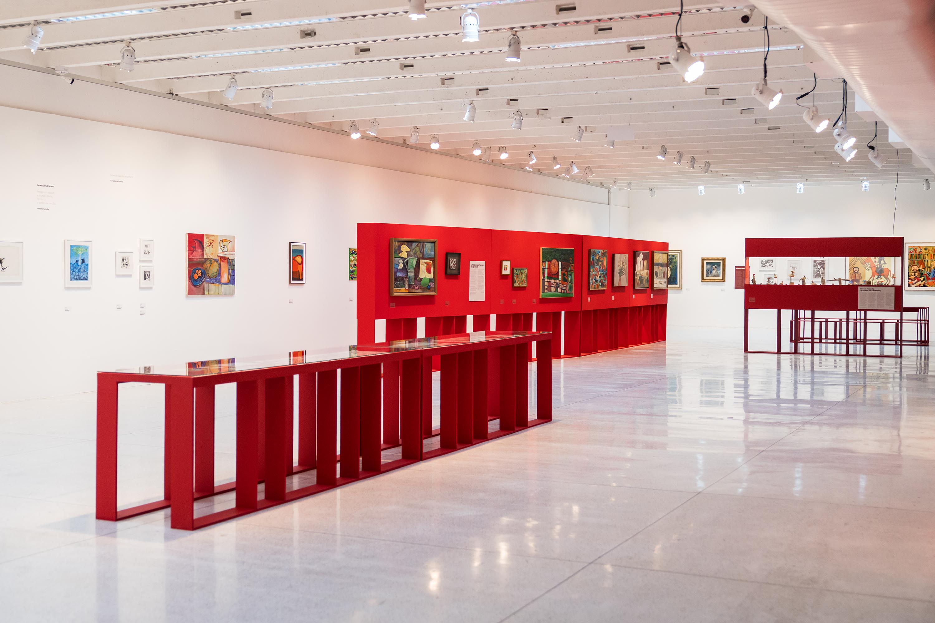 Rogério Dias - 80 anos