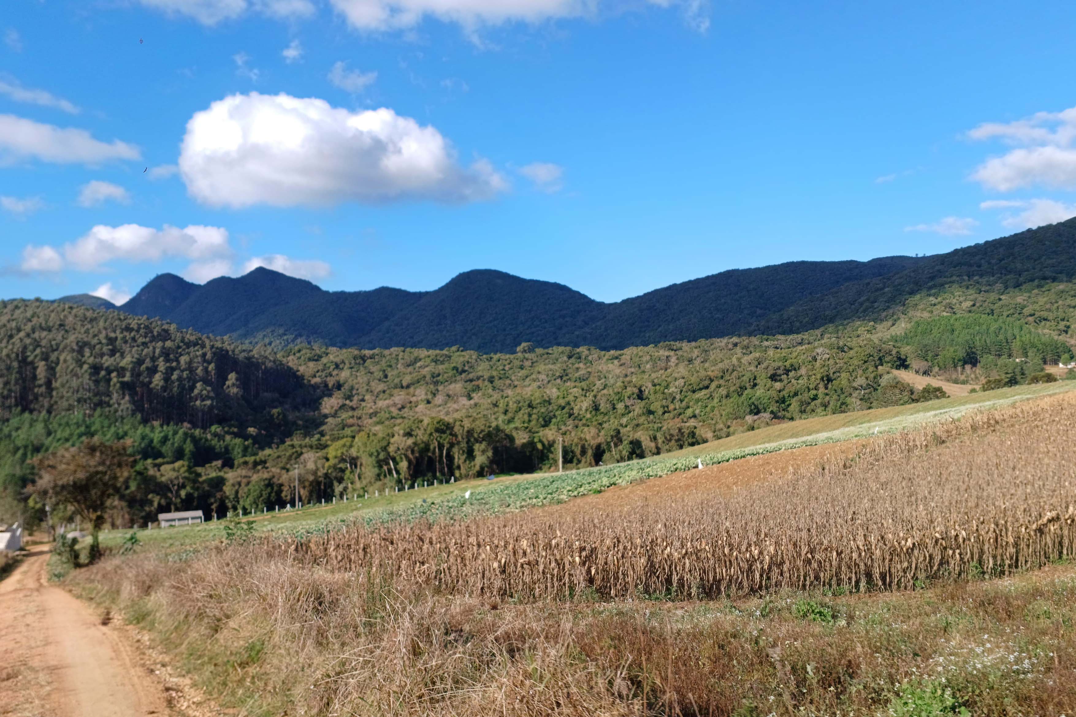 Opção para o final de semana: São José dos Pinhais oferece turismo em meio à Mata Atlântica