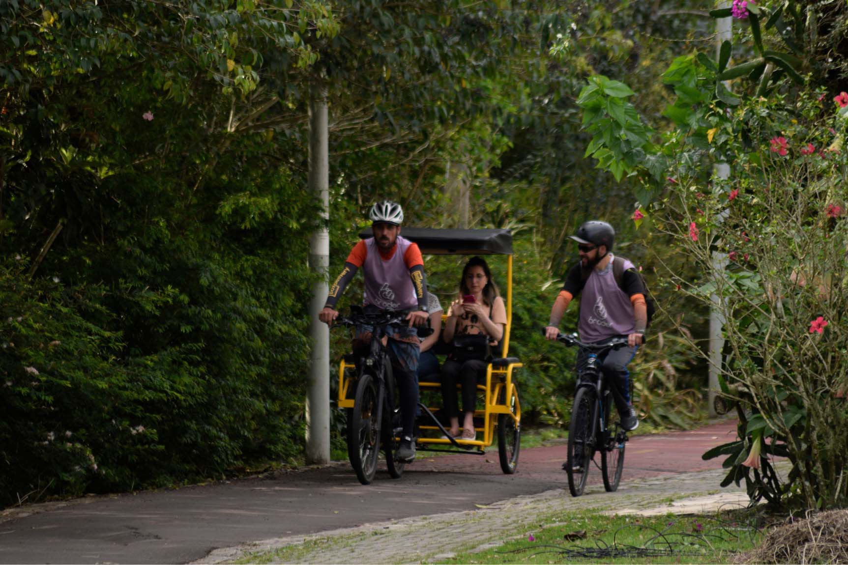 Entre linhas e histórias, Turismo Literário do Paraná é cada vez mais reconhecido