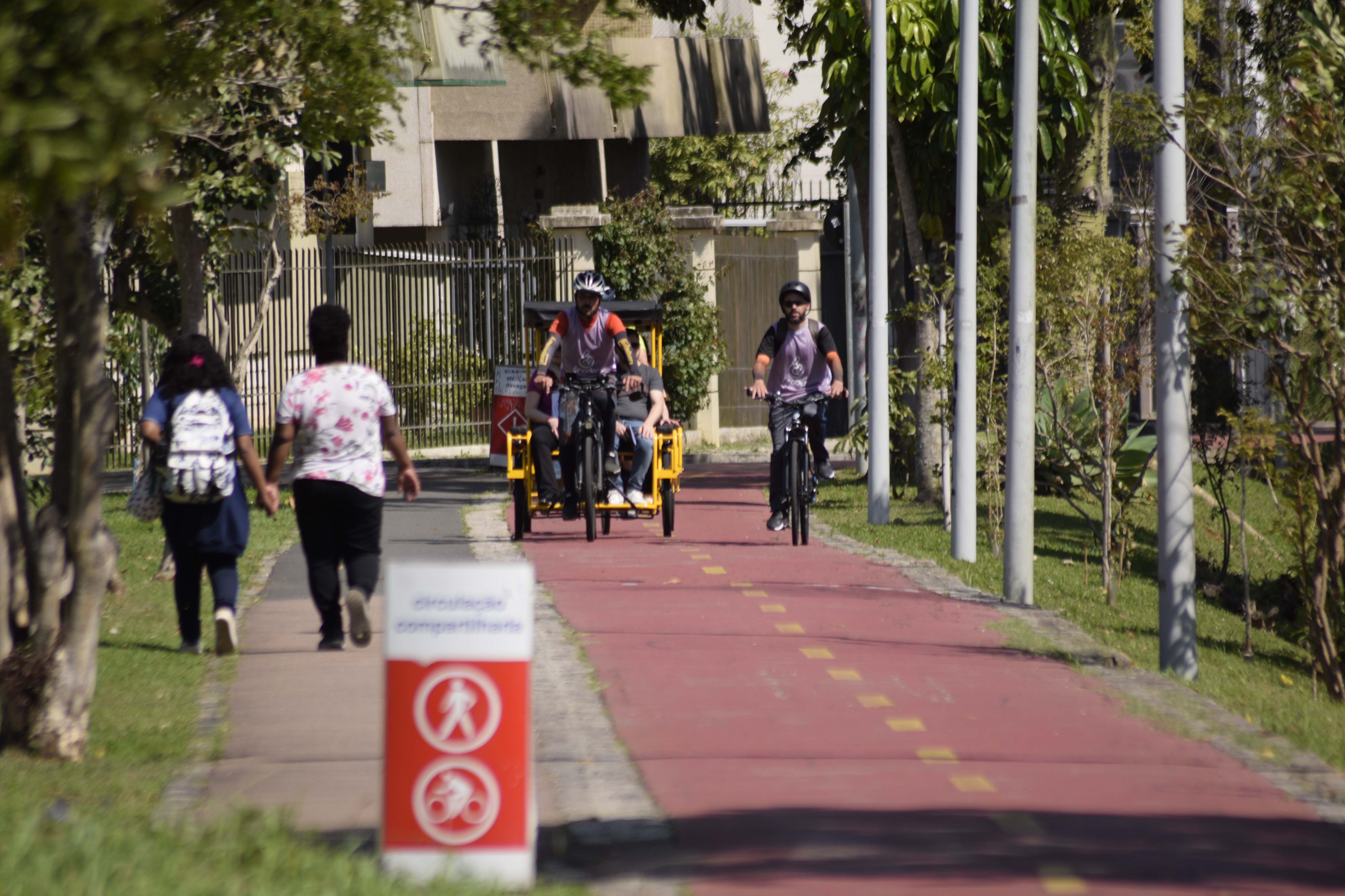 Entre linhas e histórias, Turismo Literário do Paraná é cada vez mais reconhecido