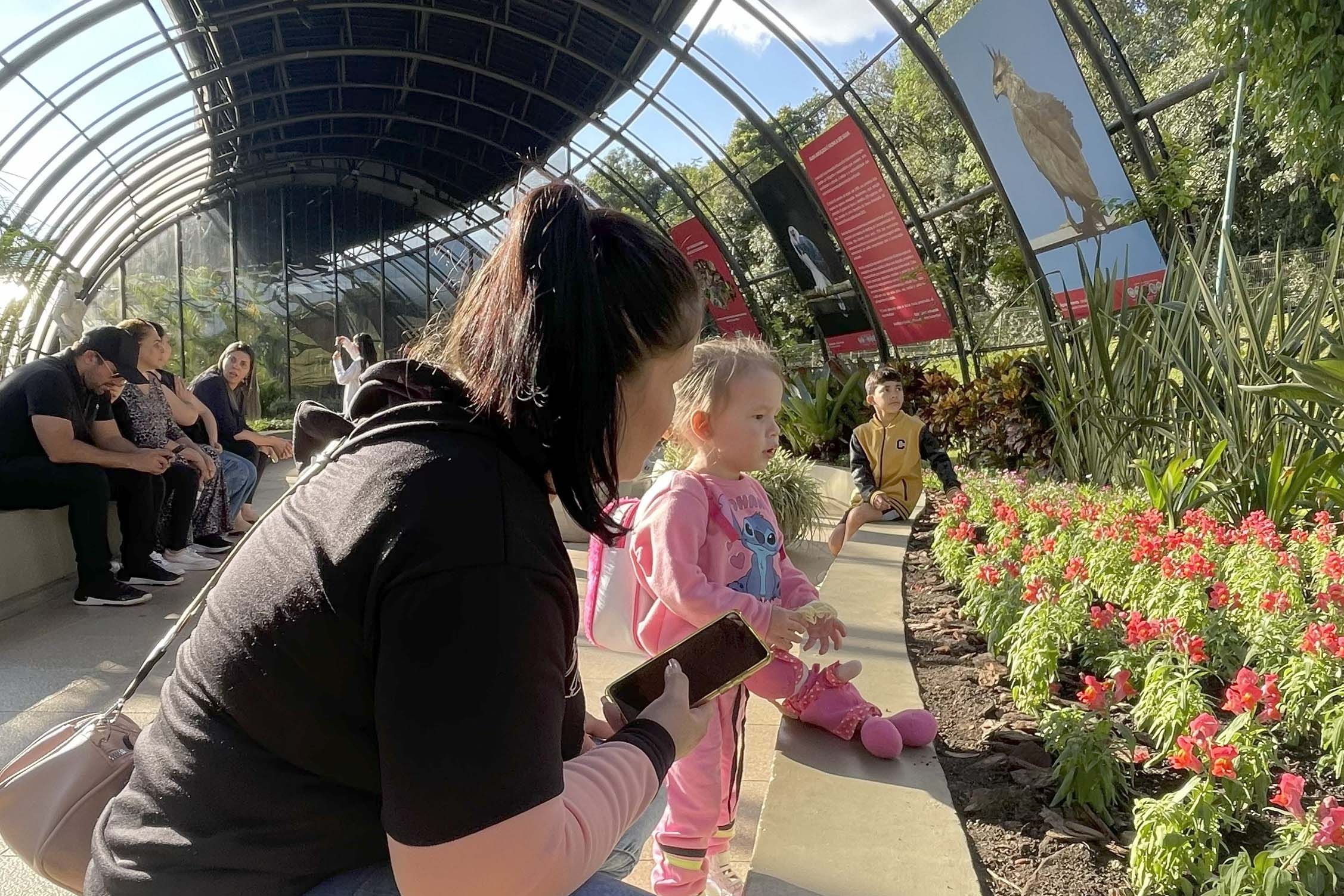 Exposição Fauna Ameaçada é Fauna a Ser Salva" atrai turistas para o Jardim Botânico de Curitiba