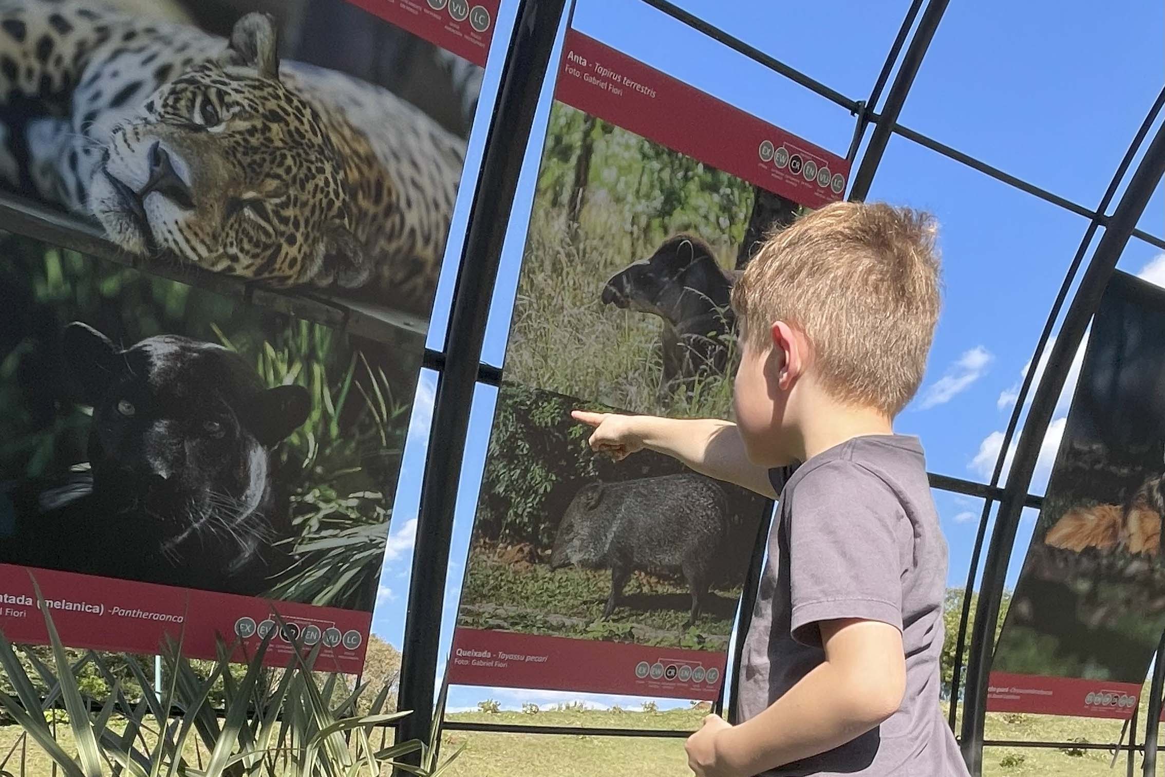 Exposição Fauna Ameaçada é Fauna a Ser Salva