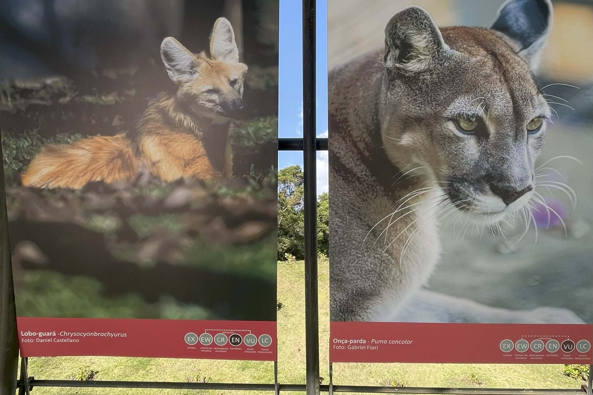 Exposição Fauna Ameaçada é Fauna a Ser Salva" atrai turistas para o Jardim Botânico de Curitiba