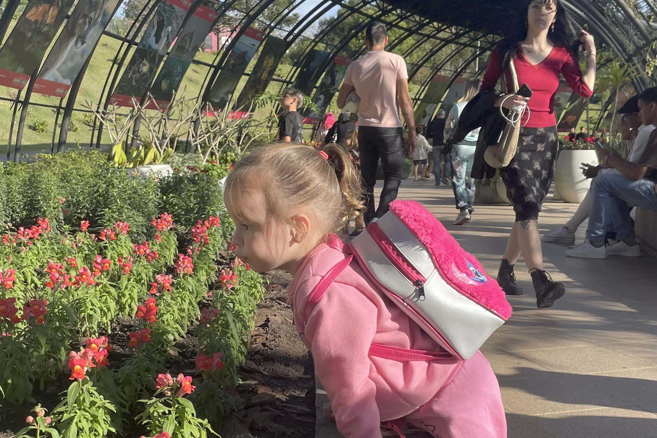 Exposição Fauna Ameaçada é Fauna a Ser Salva" atrai turistas para o Jardim Botânico de Curitiba