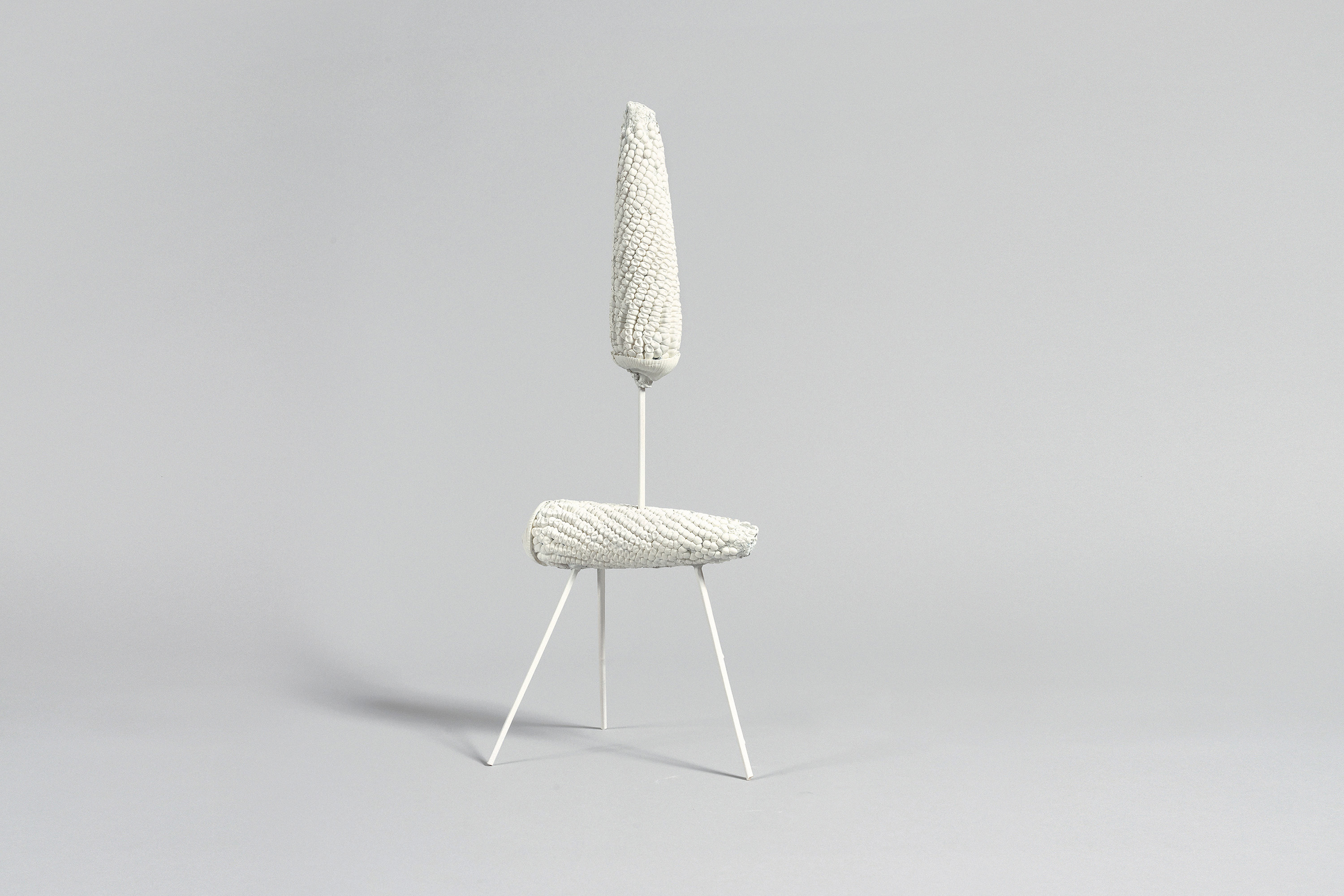 MON realiza exposição do artista contemporâneo Barrão