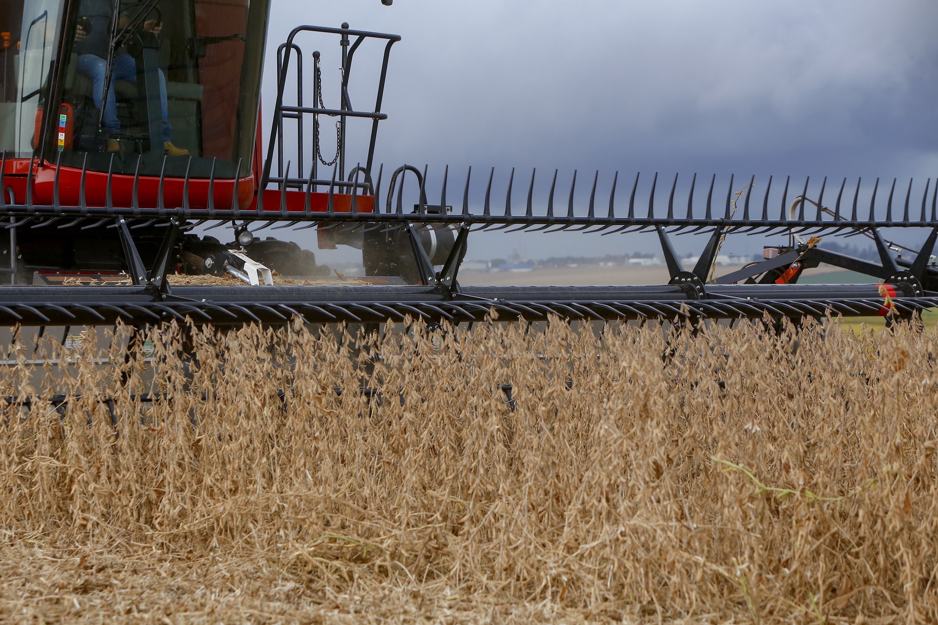 AGRICULTURA