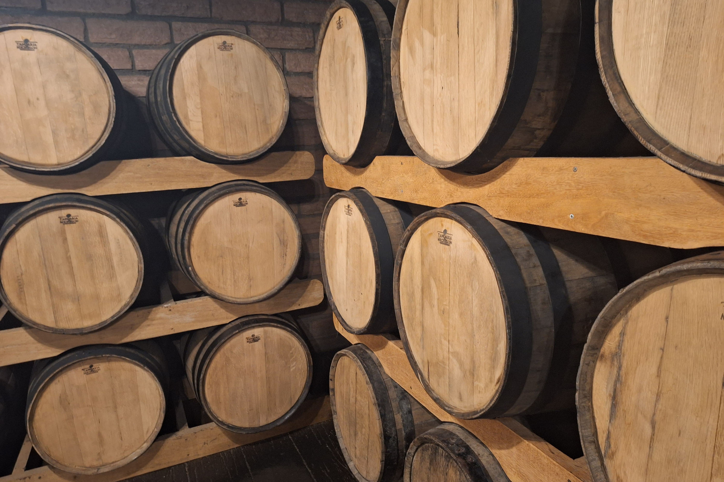 Com novo Mapa do Enoturismo, Paraná valoriza vinhos estaduais e visitas a produtores locais