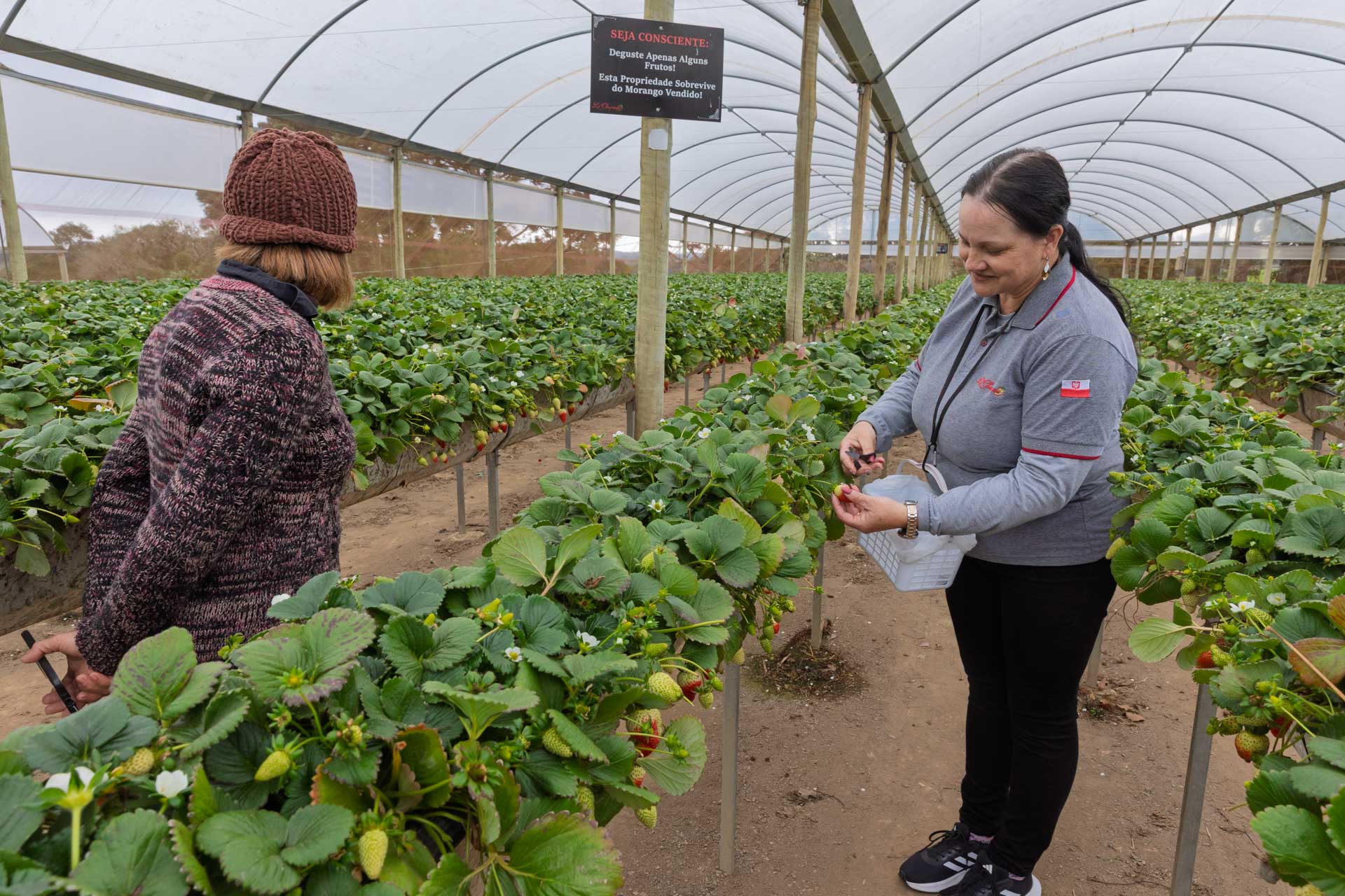 Agricultores do Rio Miringuava apoiados pela Sanepar estreiam na Feira de Sabores.