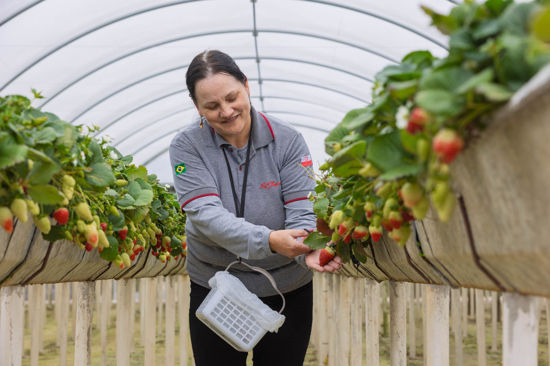 Agricultores do Rio Miringuava apoiados pela Sanepar estreiam na Feira de Sabores.