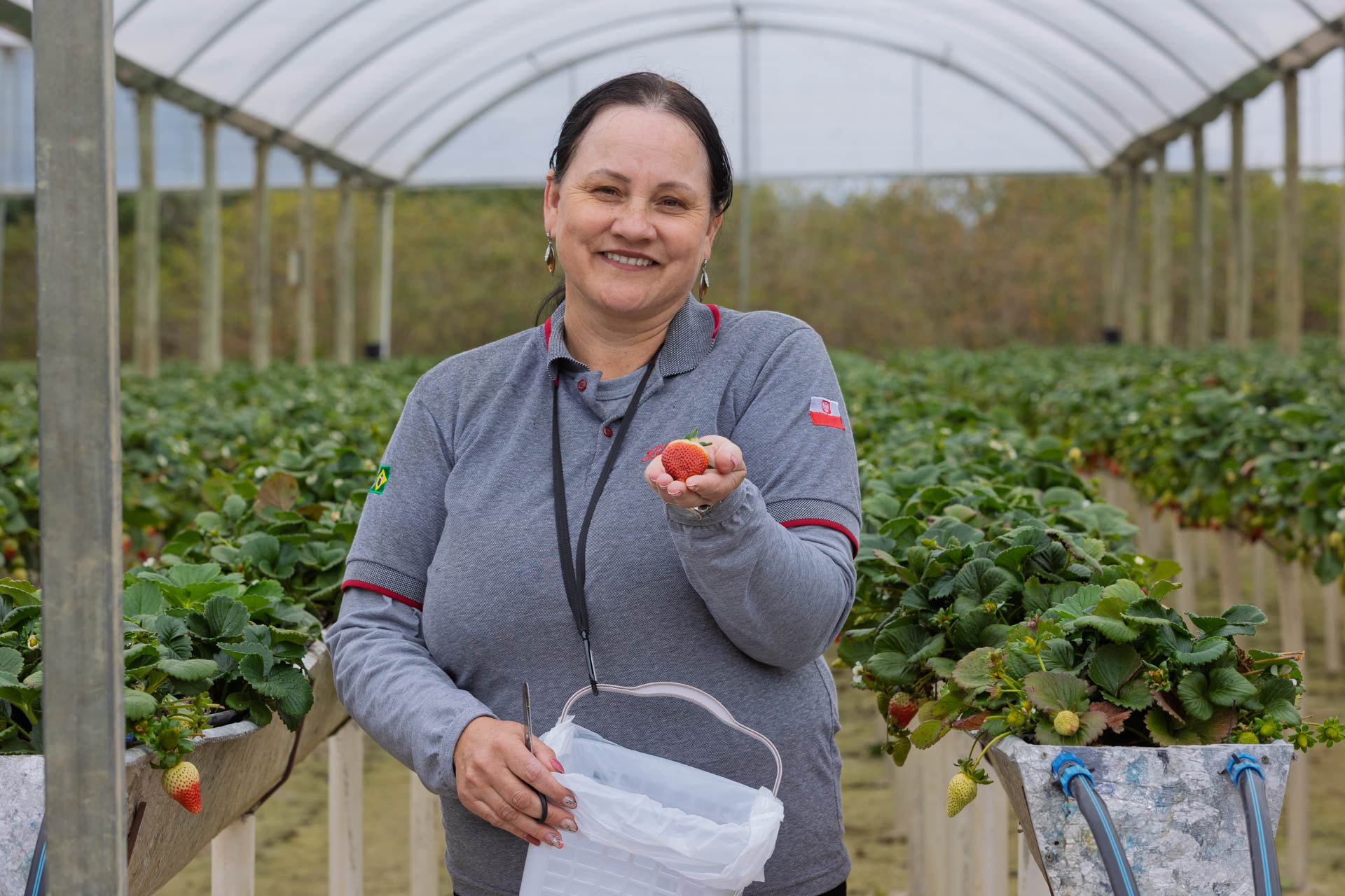 Agricultores do Rio Miringuava apoiados pela Sanepar estreiam na Feira de Sabores.