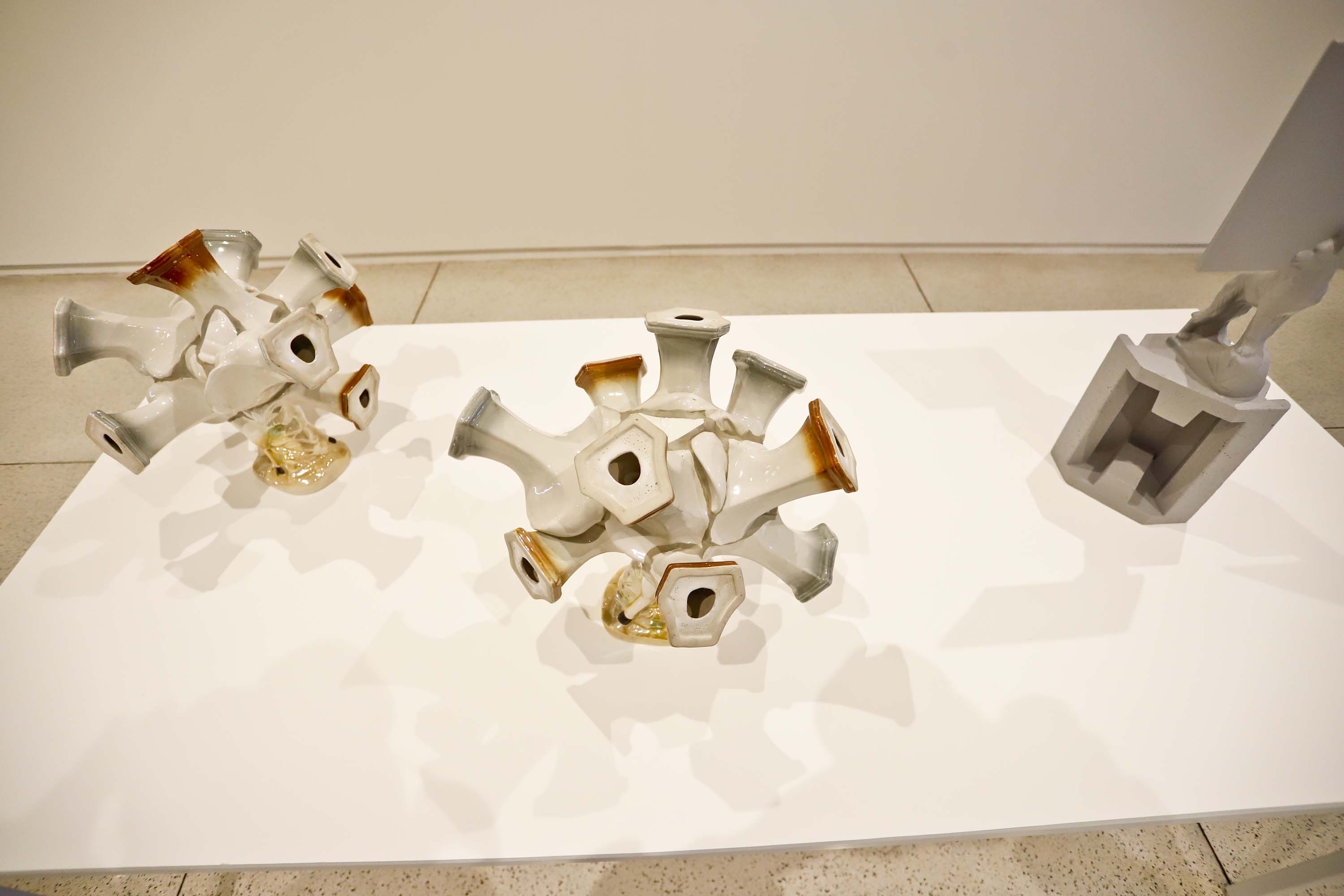 Confira as atividades gratuitas no MON, em setembro