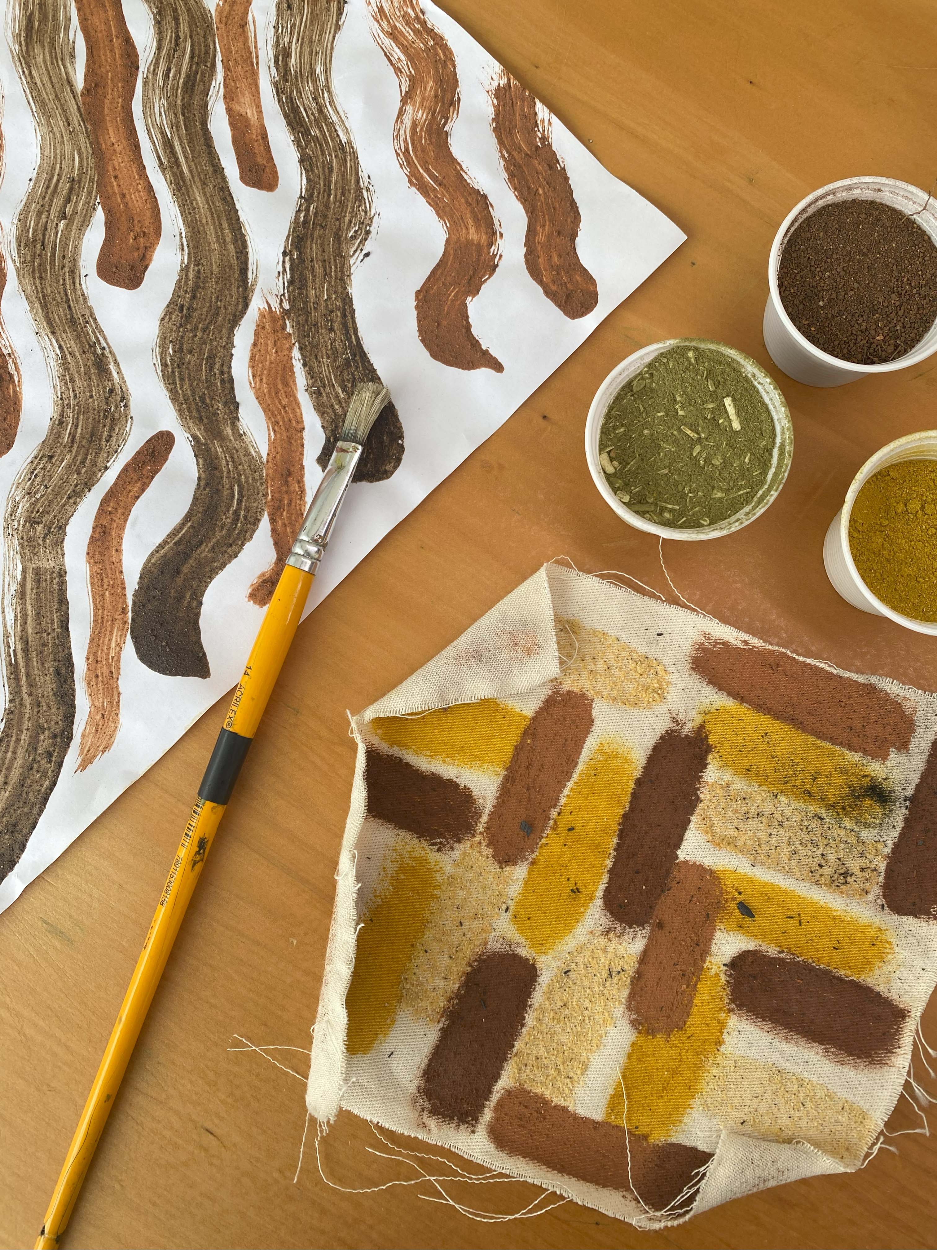 Confira as atividades gratuitas no MON, em setembro